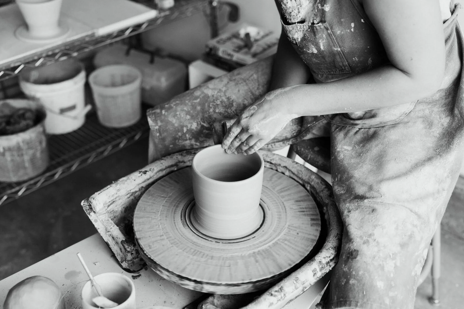 The Story Behind Plant Provisions! 