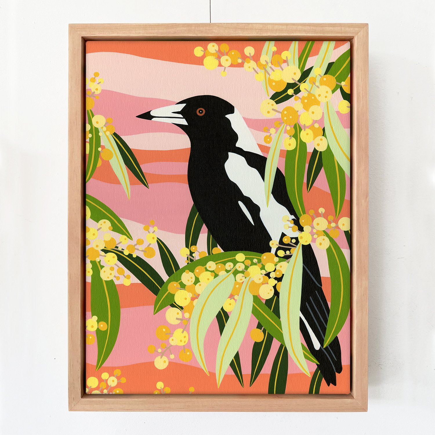 Wattle-Magpie-Artwork-Outer-Island-Copyright.jpg