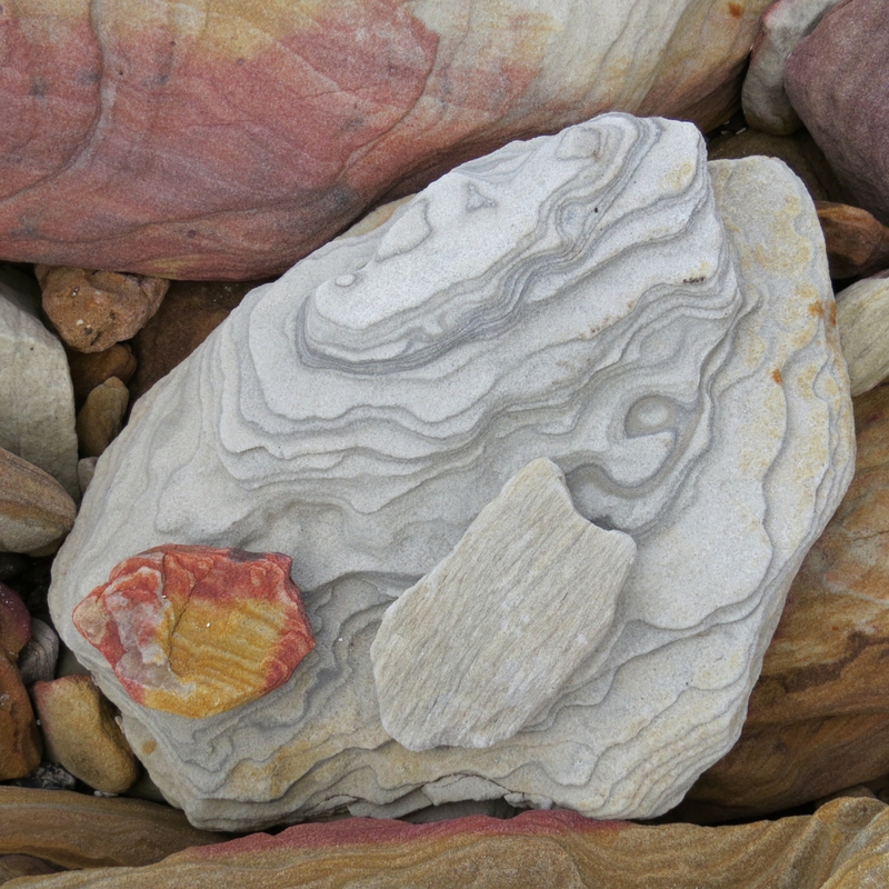 Rocks on Shelly Beach