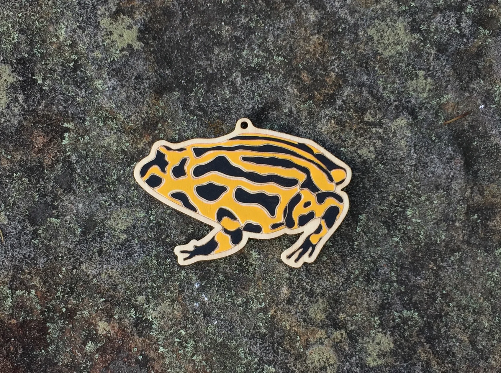 frog+rock.jpg