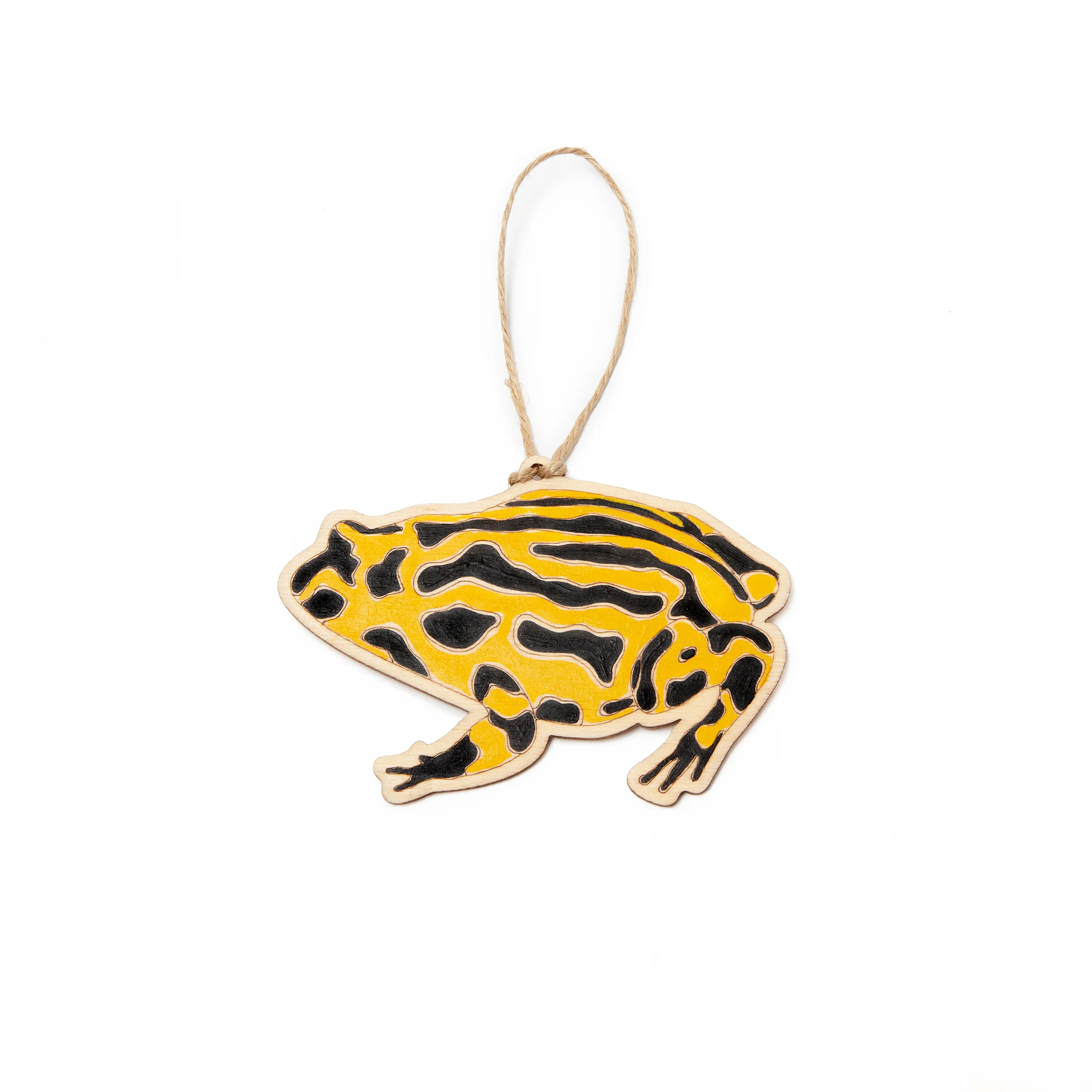 CorroborreeFrog_Front.jpg