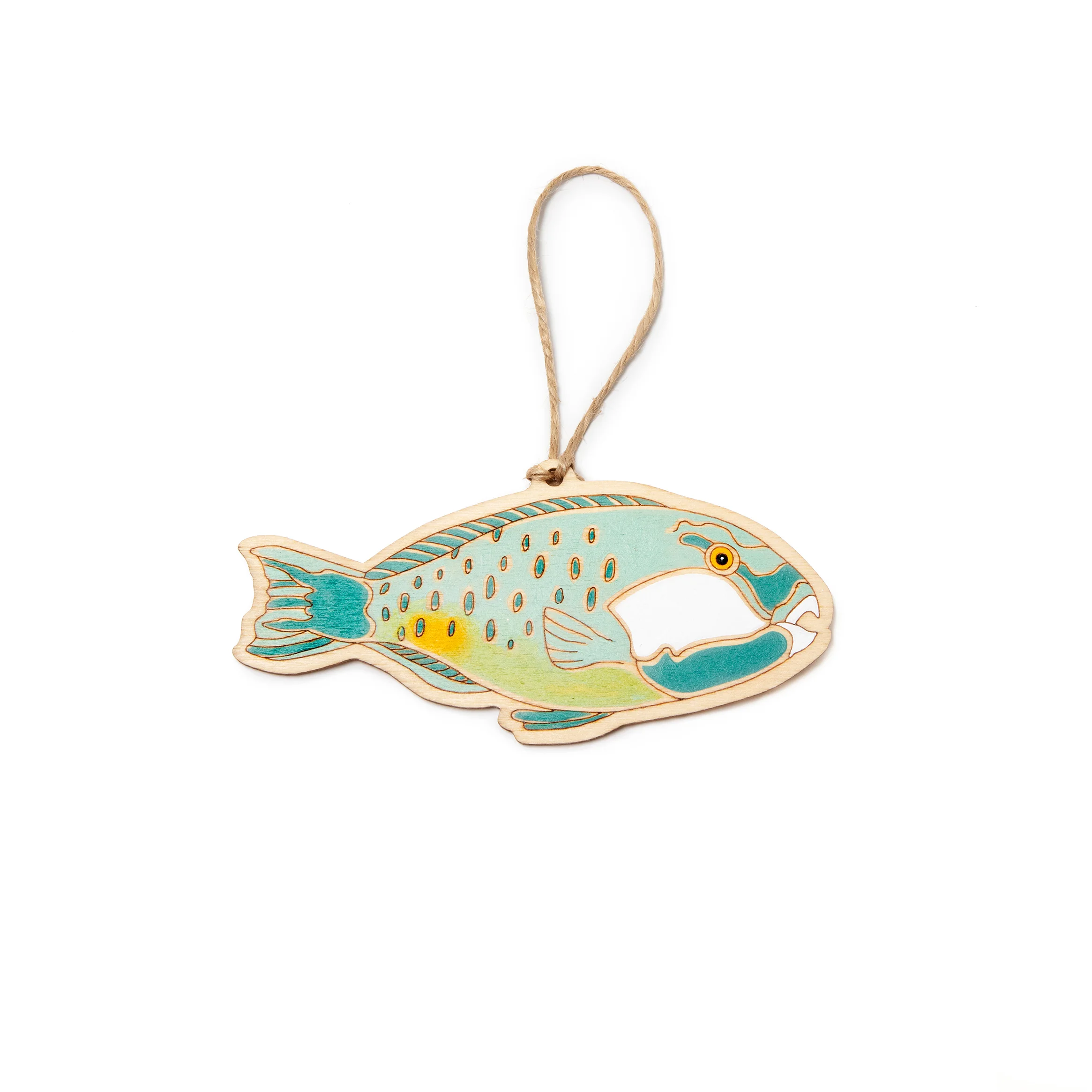 Greenfin parrotfish - copyright outer island