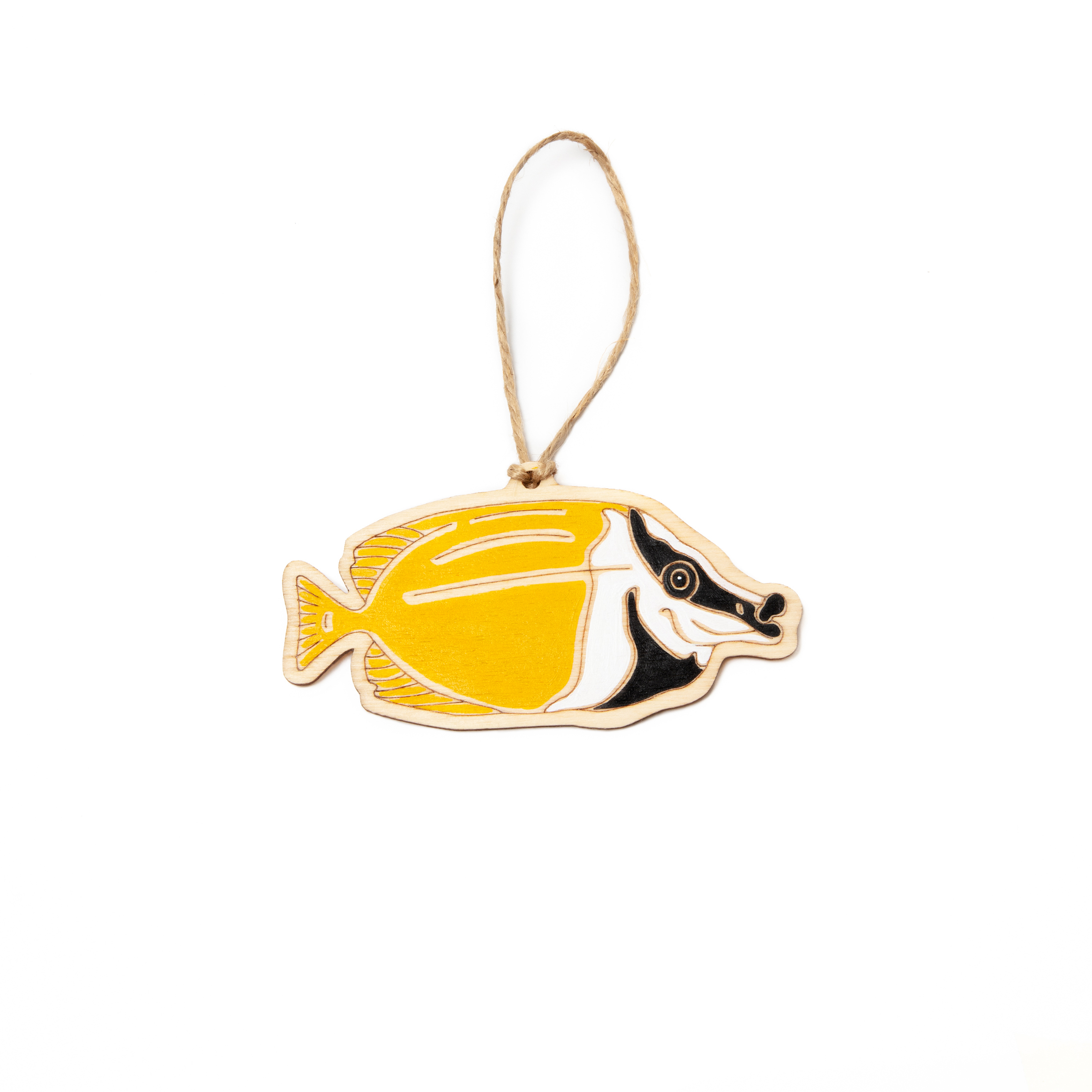 Foxface Rabbitfish - copyright outer island