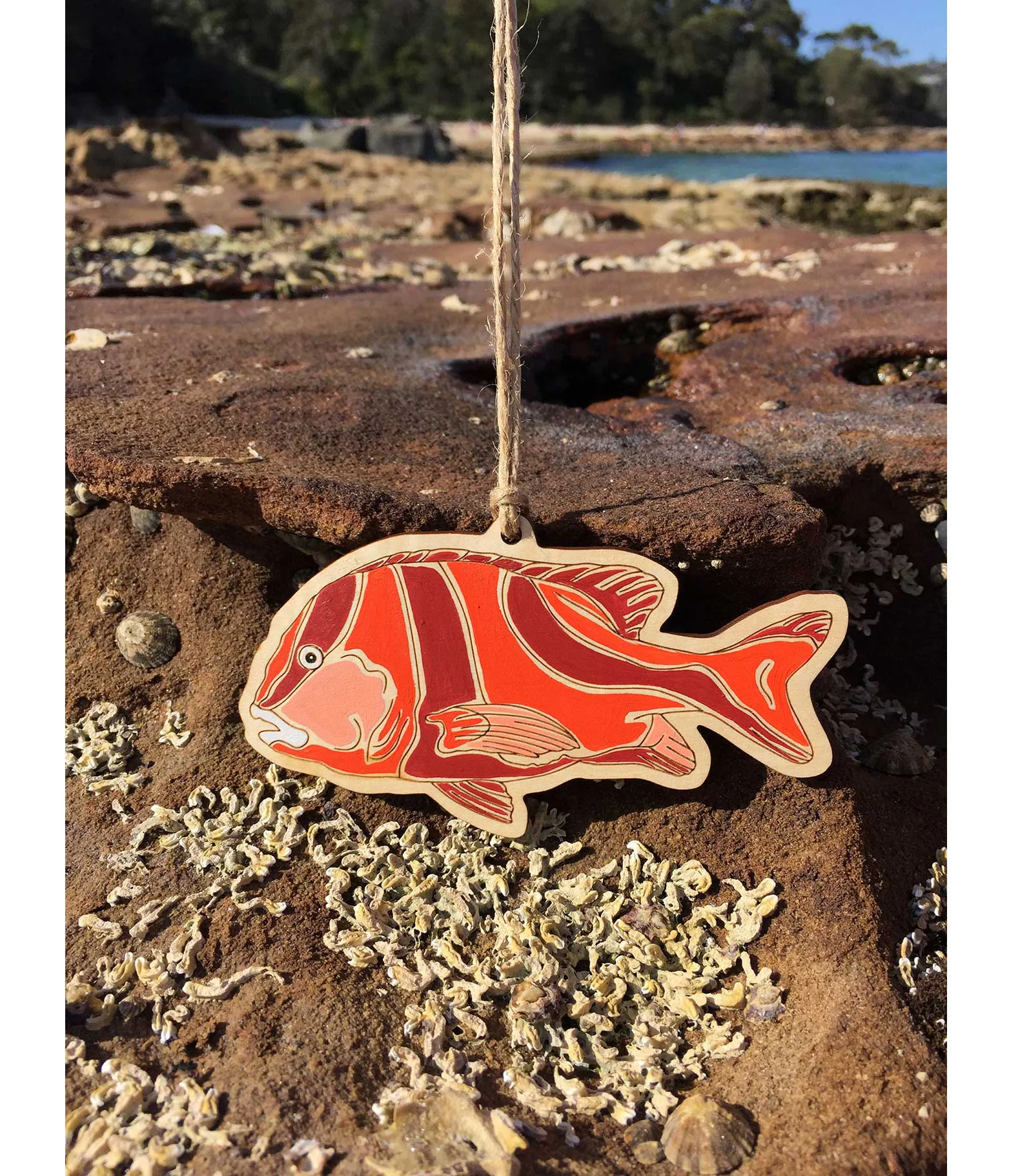 Emperor Red Snapper - copyright outer island