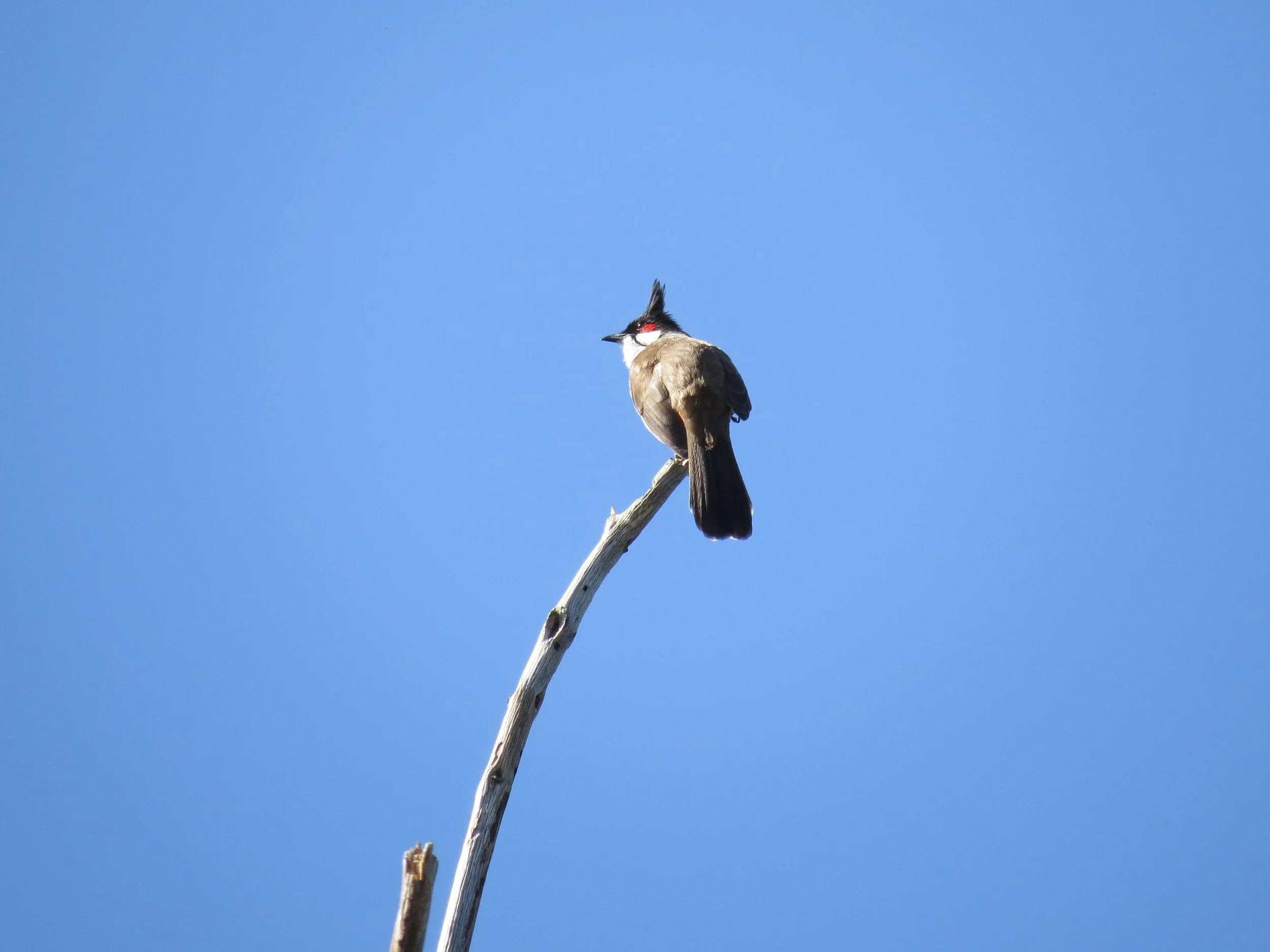 IMG_6512.jpg