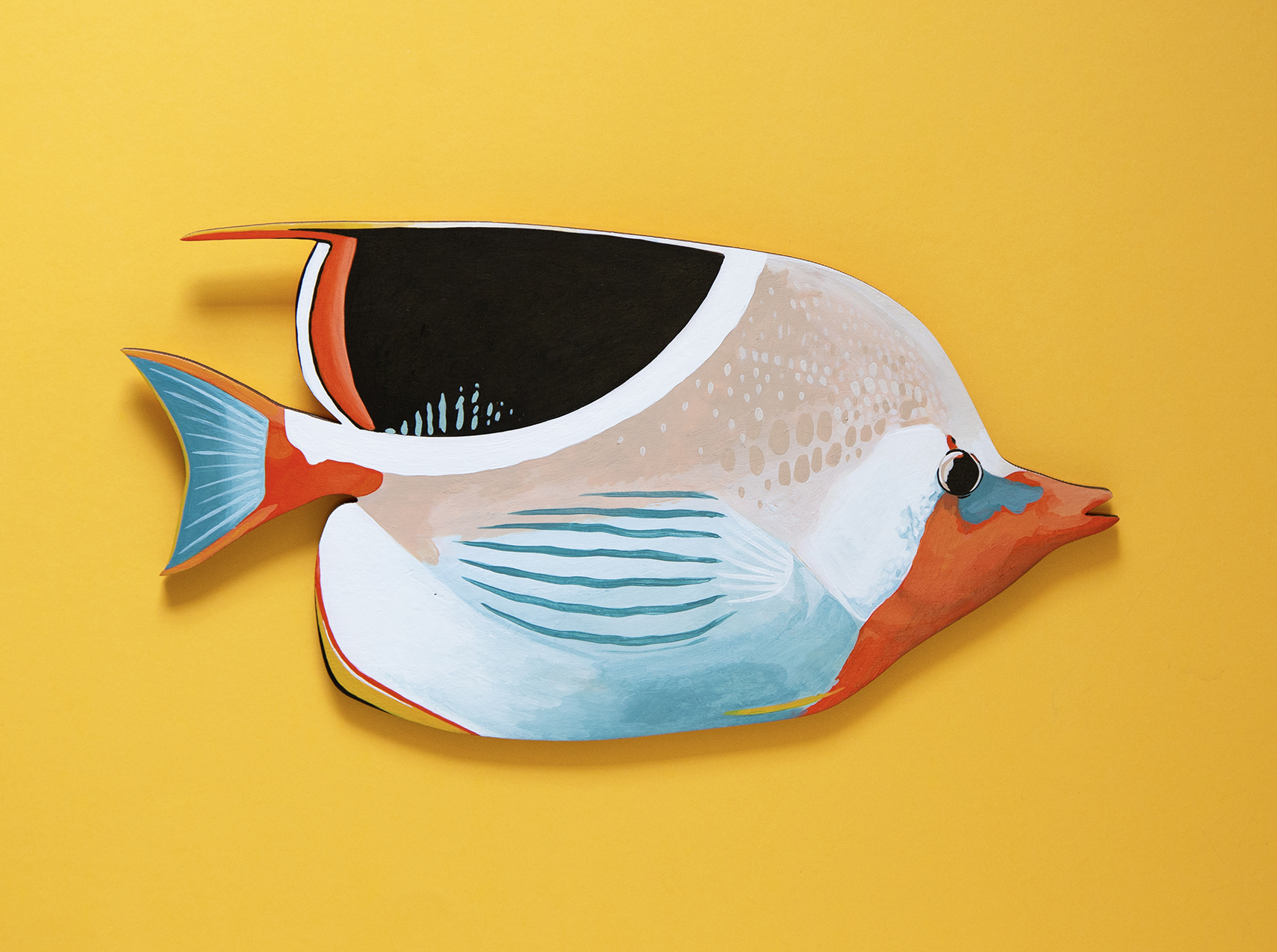 Sadlefish_Front_CB_Web.jpg