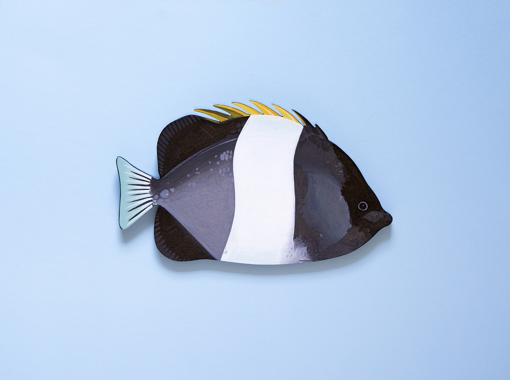 Smallfish_Front_CB_Web2 copy.jpg