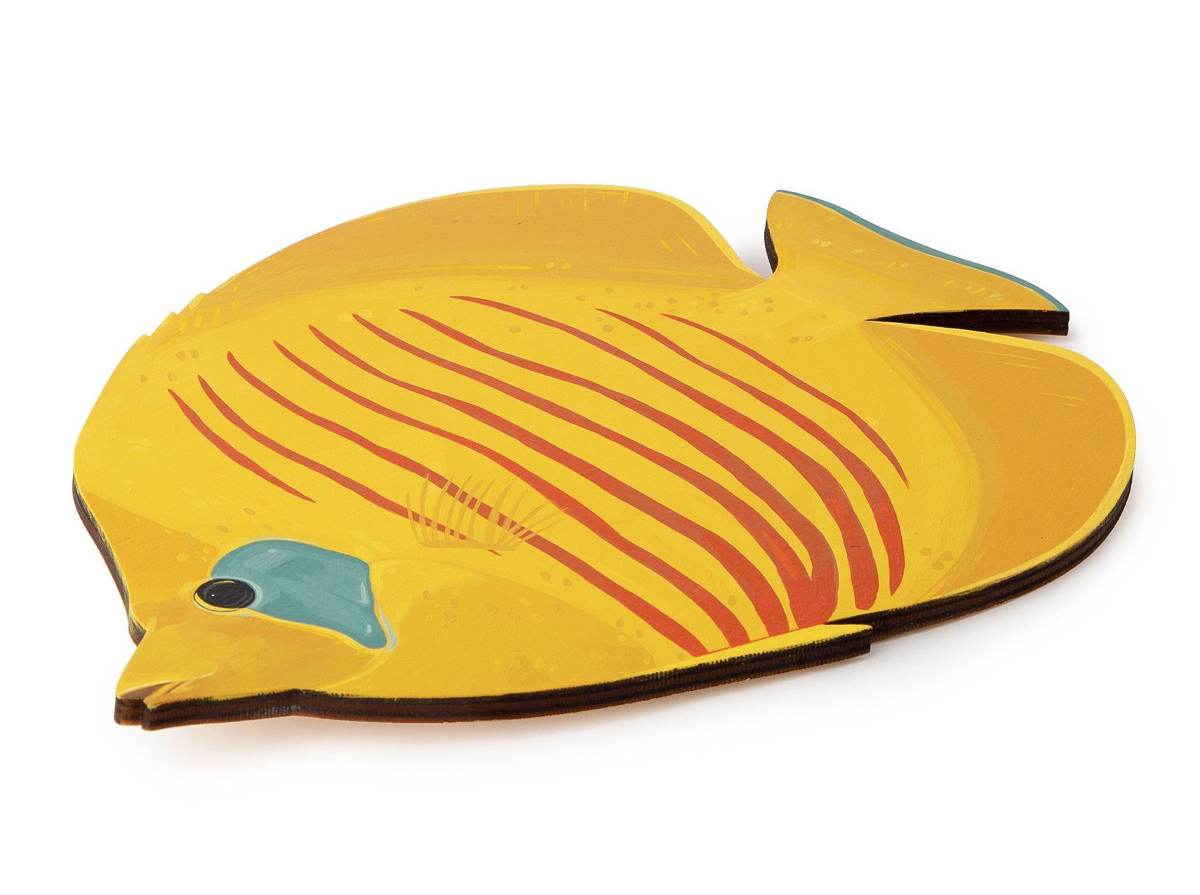 Bluecheekanglefish_Side_WB_Web.jpg