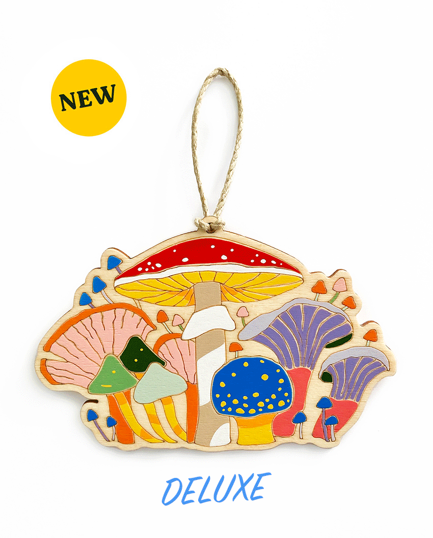 Foundation and Friends — Outer Island