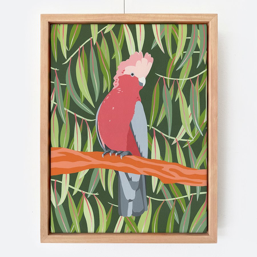 Art-Frame-Galah-Outer-Island-Copyright-SM.jpg