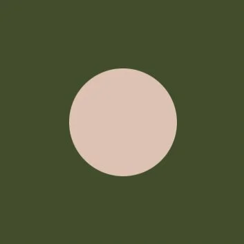 Dark Green:Plaster.jpg