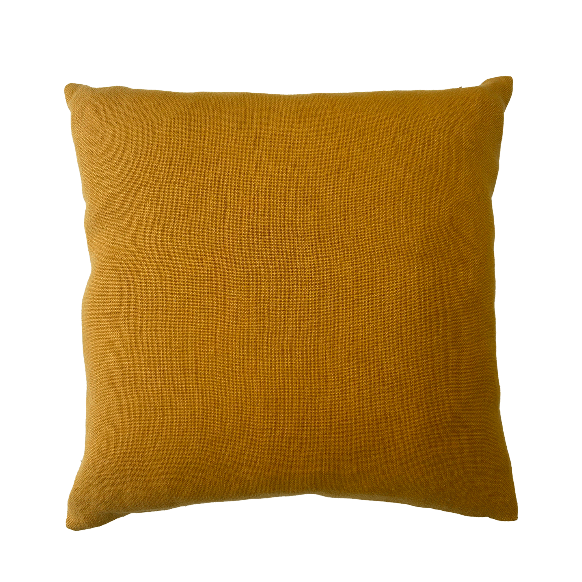 Yellow-Fern-Back.png