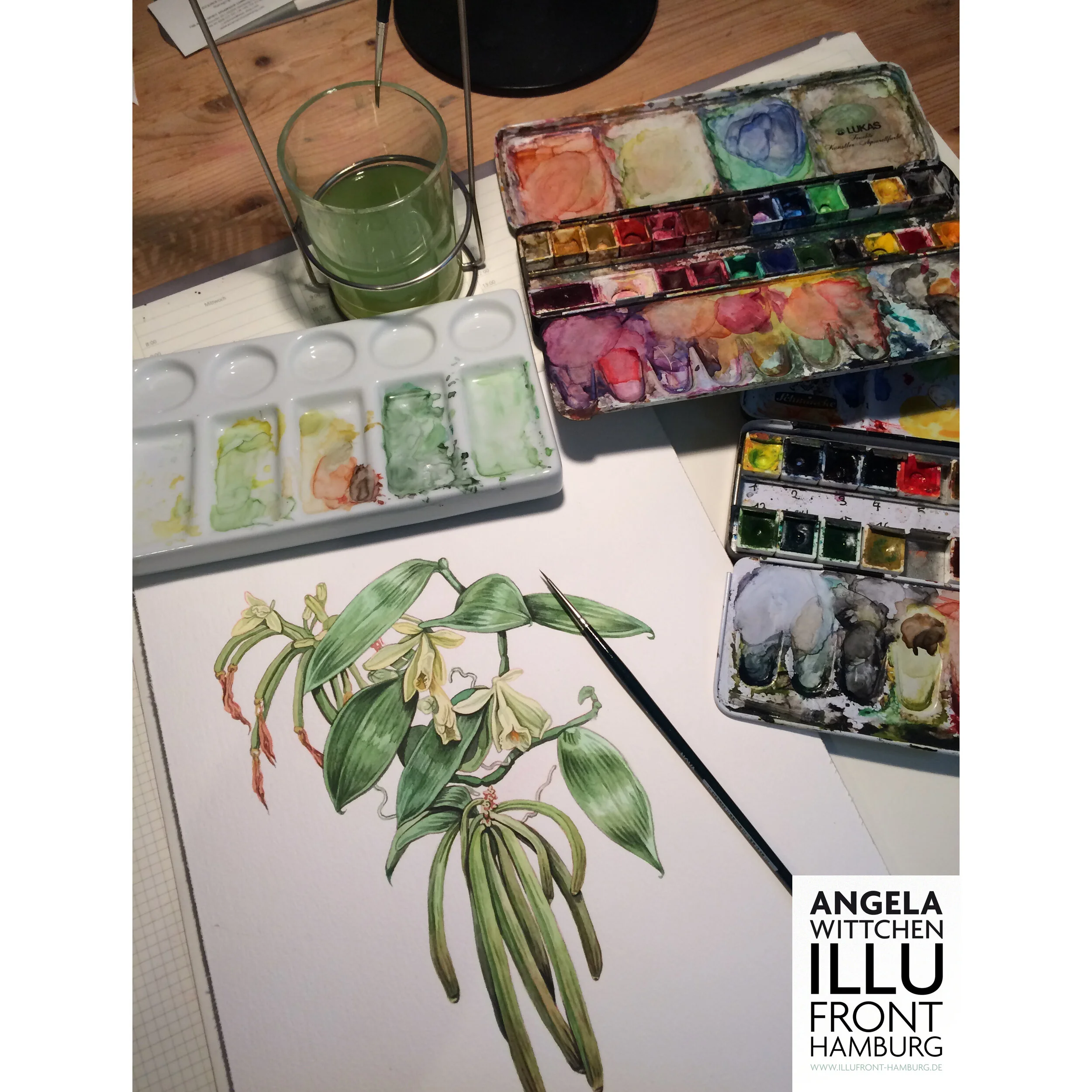 Angela-Wittchen-Illustration-Vanillepflanze_01.jpg
