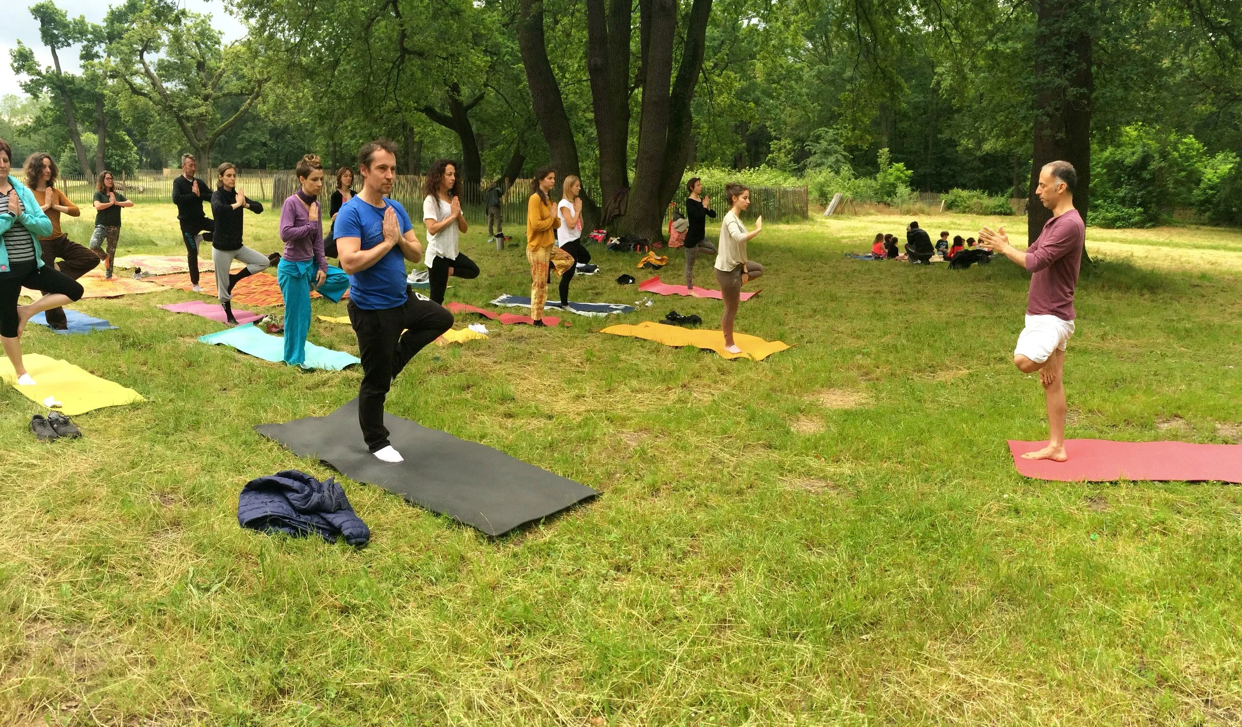 La posture de l'arbre - Vrikshasana