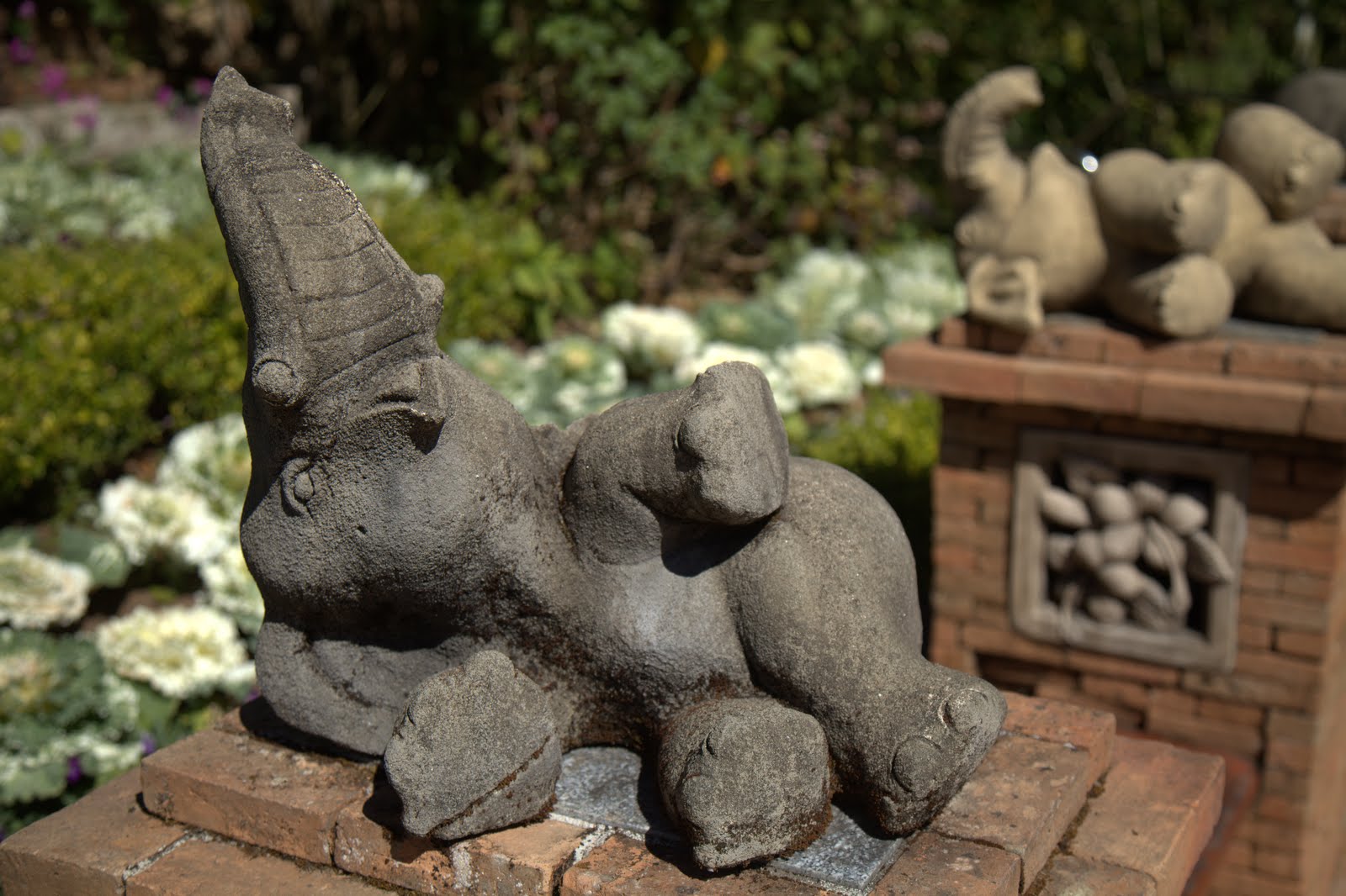 elephant-yogi3.jpg