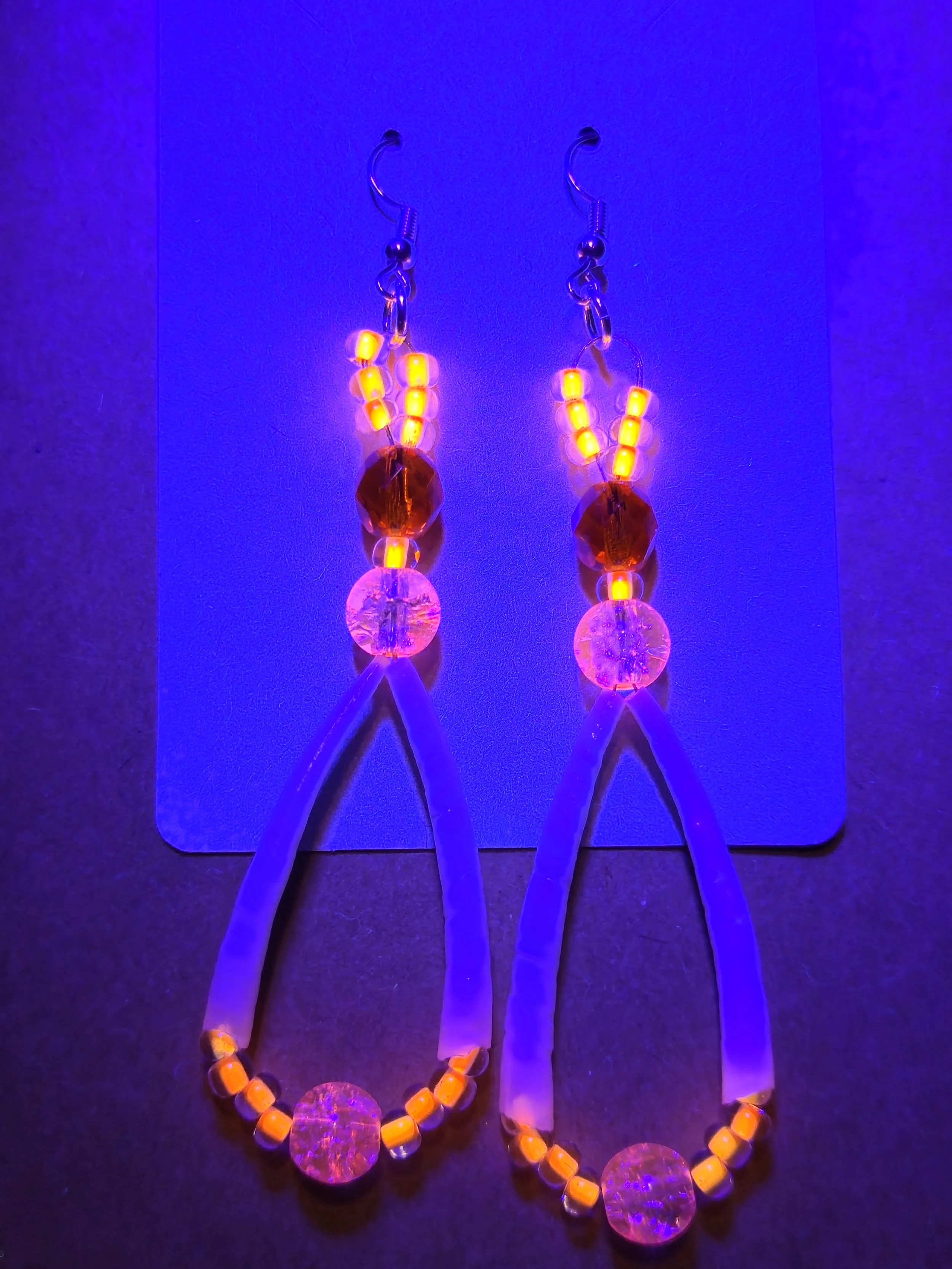 20260924_052057.jpg