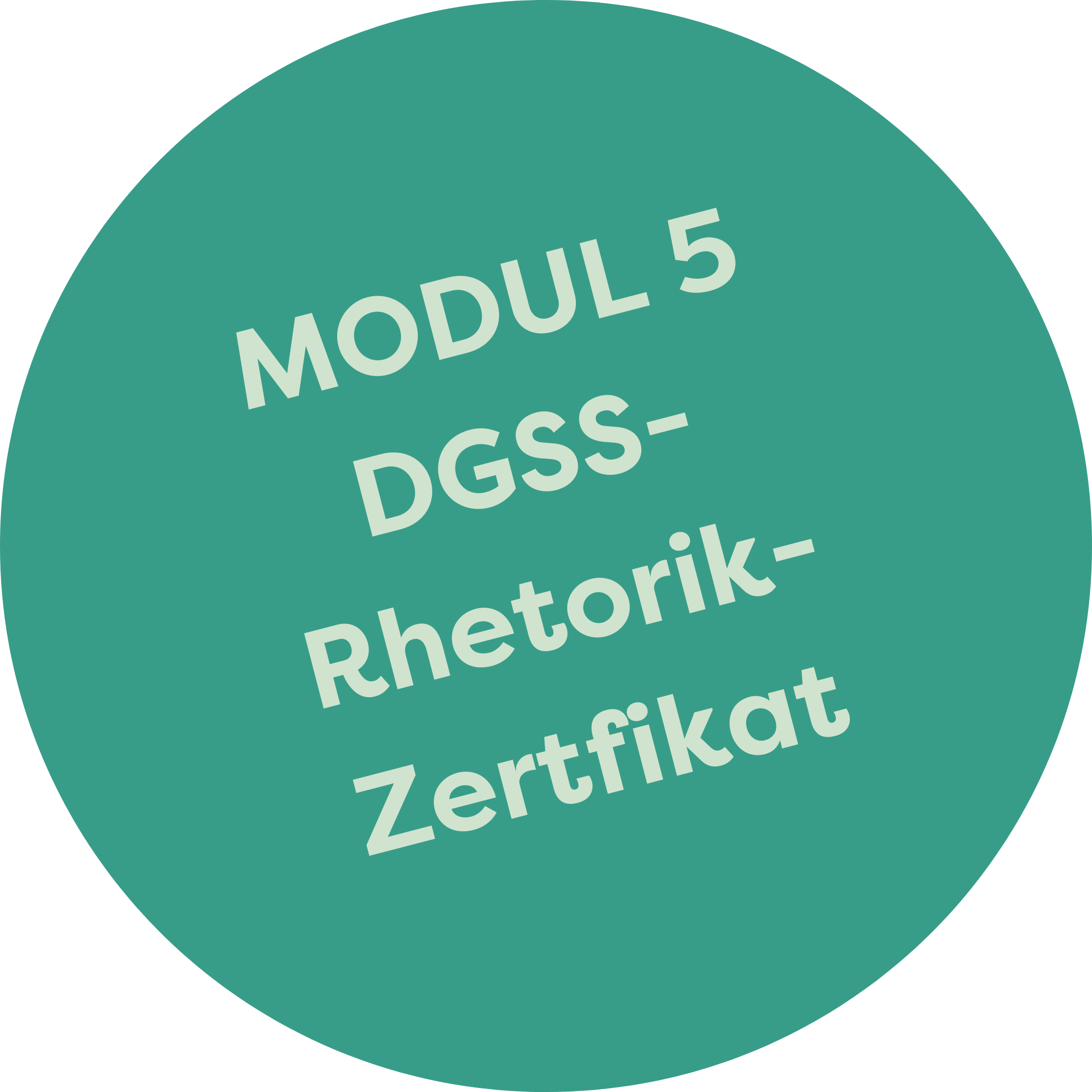 Modul 5. Rhetorik Zertifikat.png