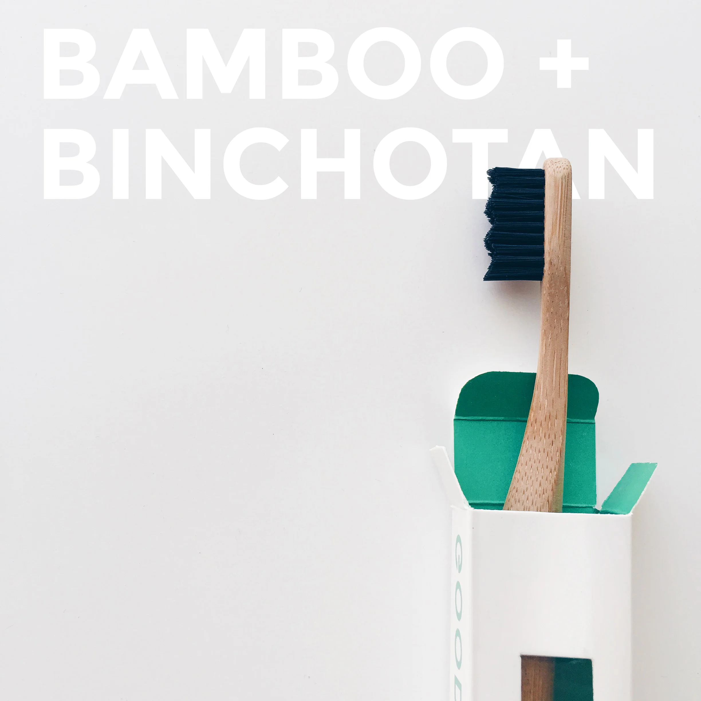 Bamboo 002.jpg