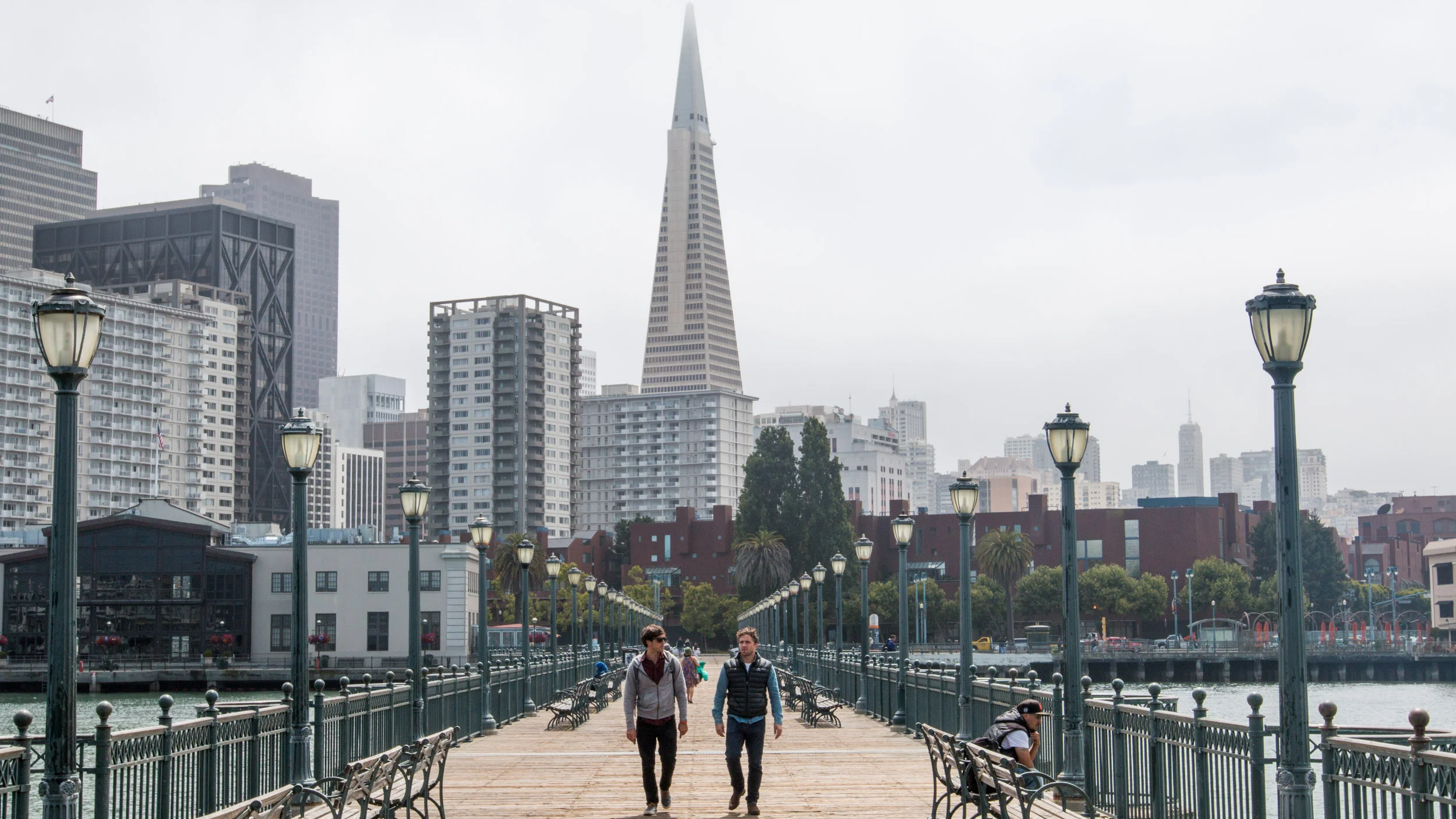 Photo Banner-6578.jpg