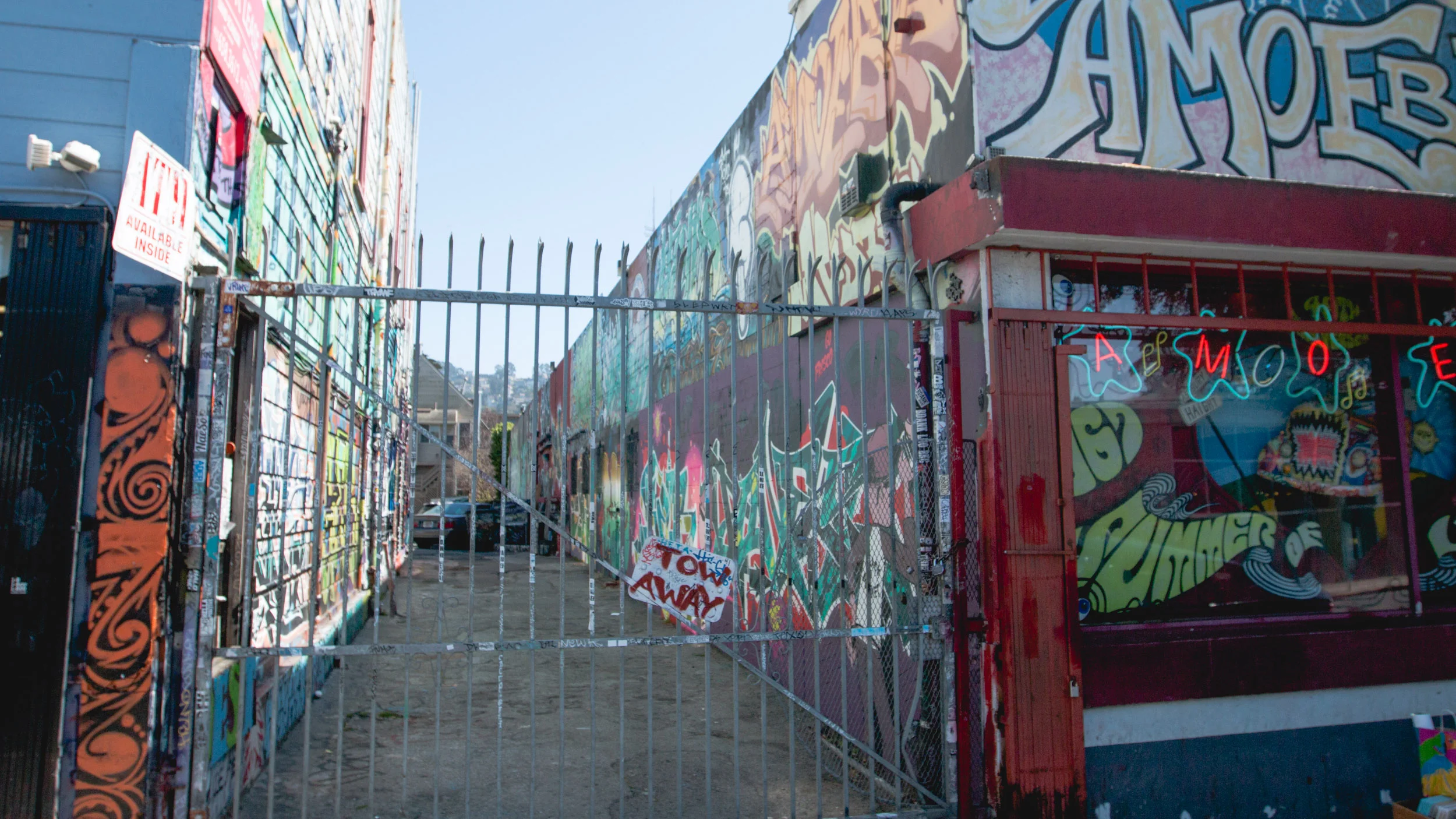 Photo Banner-6711.jpg