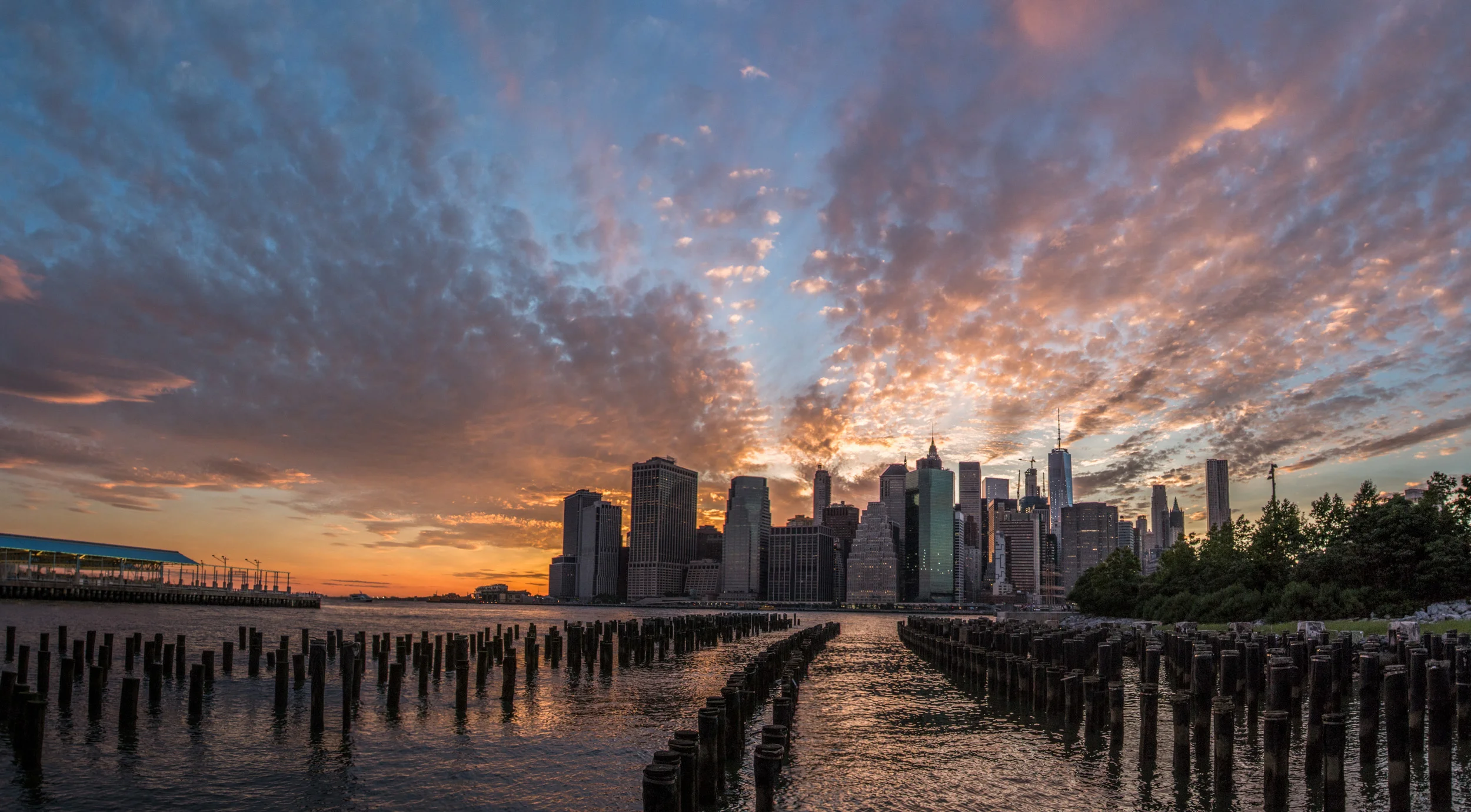 Photo Banner-2-2.jpg