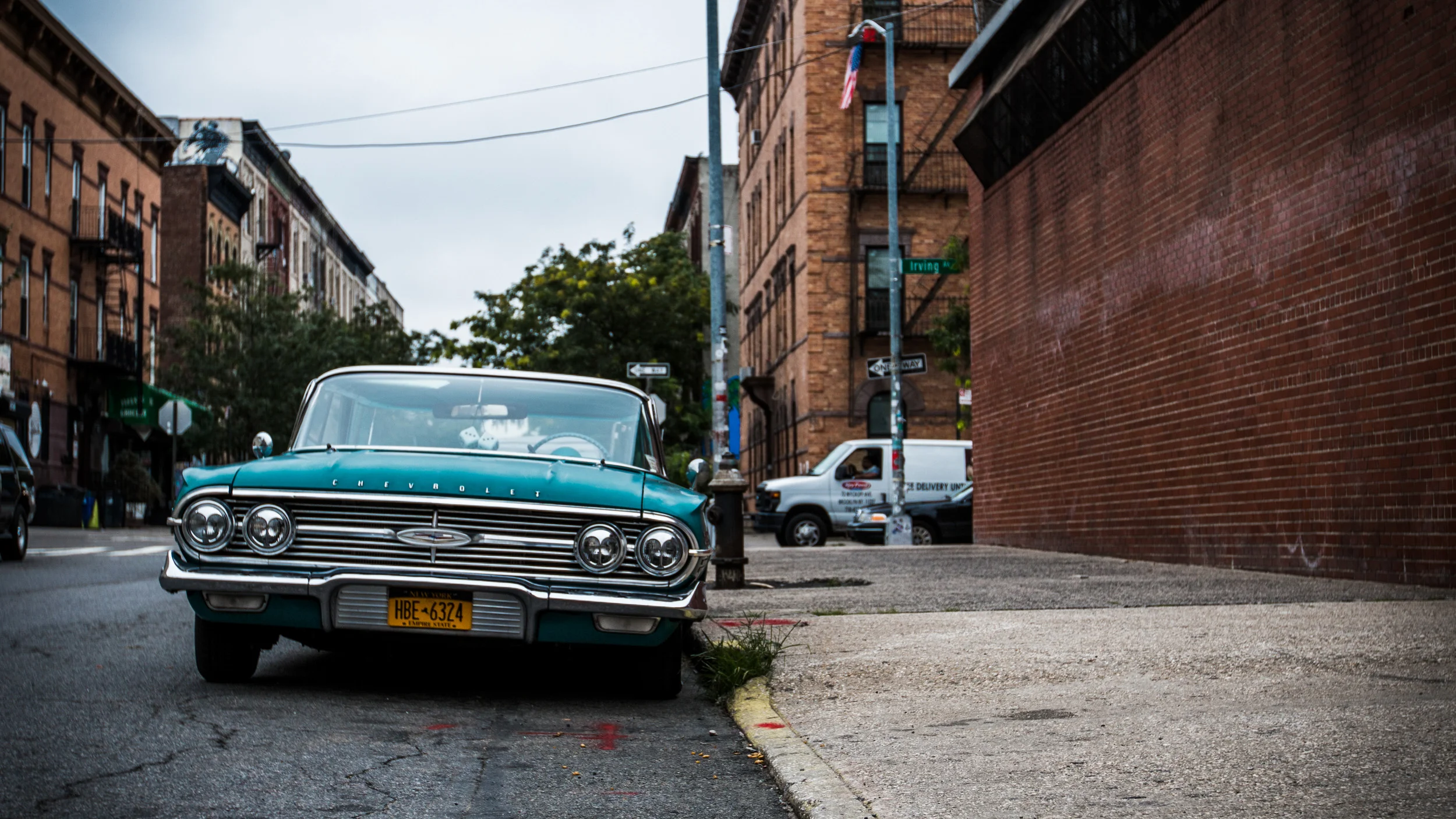 Photo Banner-7598.jpg