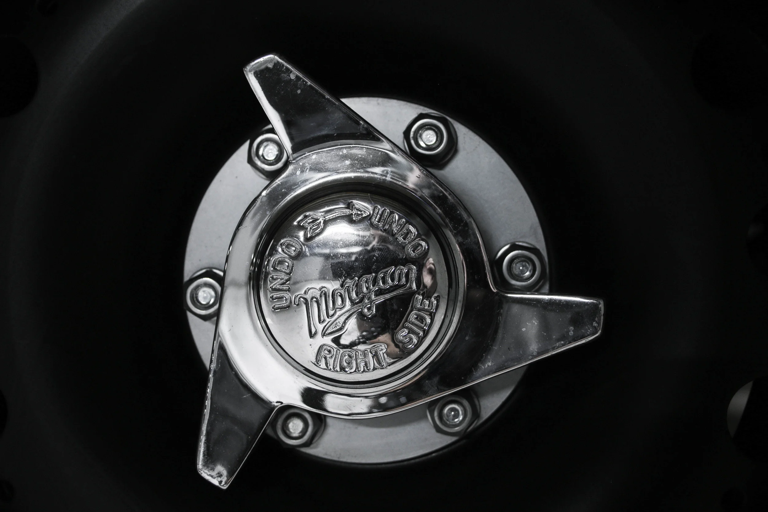 Photo Banner-5097.jpg