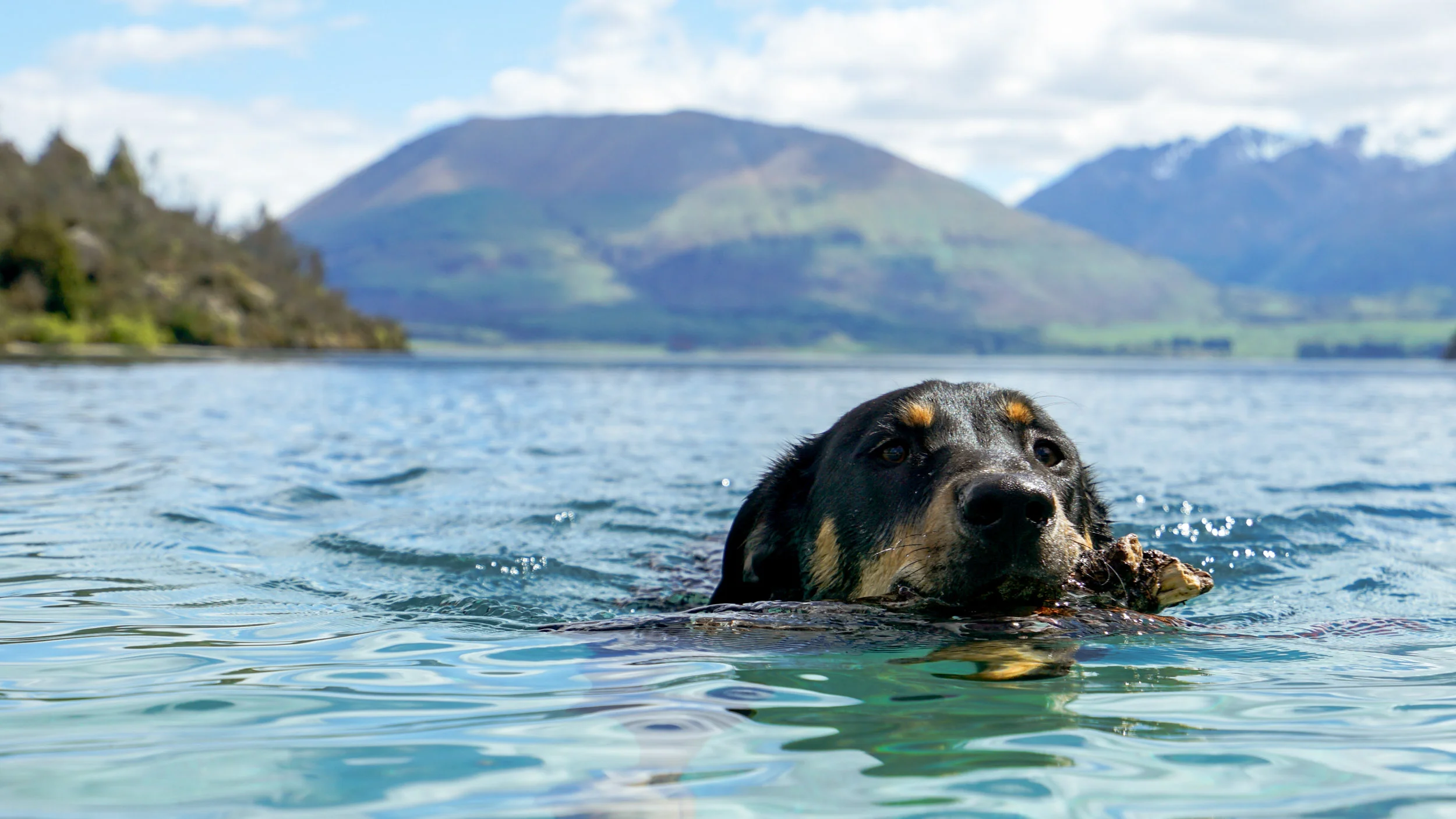 Summer 1617-01730.jpg