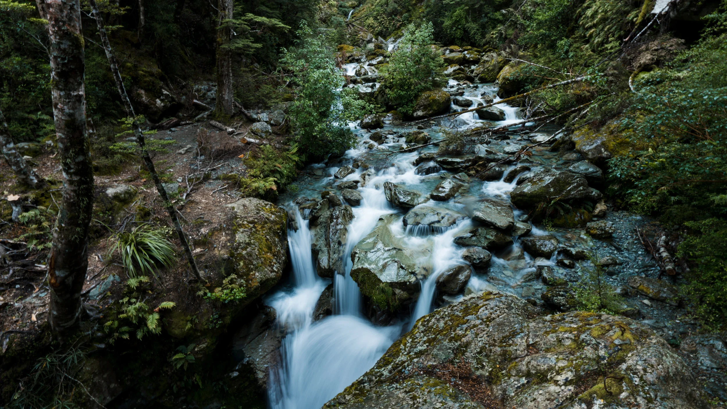 Summer 1617-5174.jpg