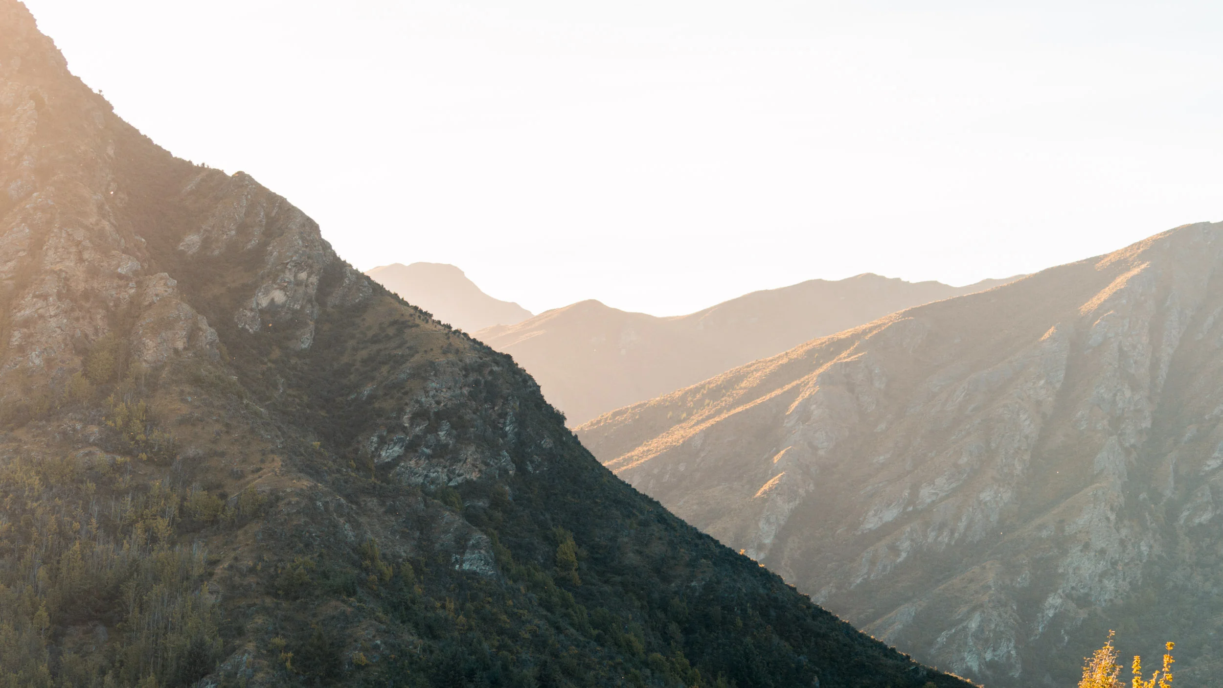 Summer 1617-09171.jpg