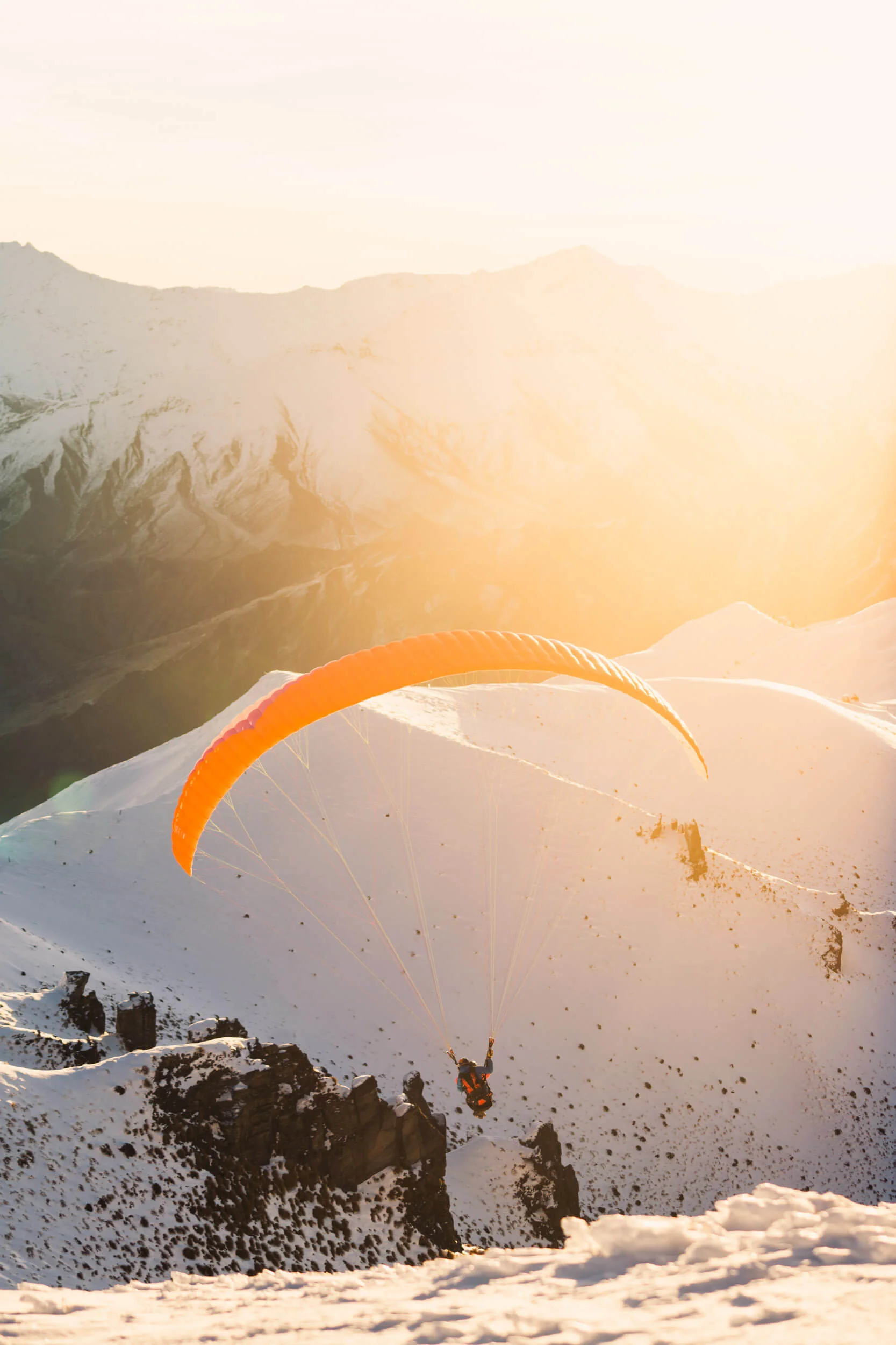 Photo Banner-03233.jpg