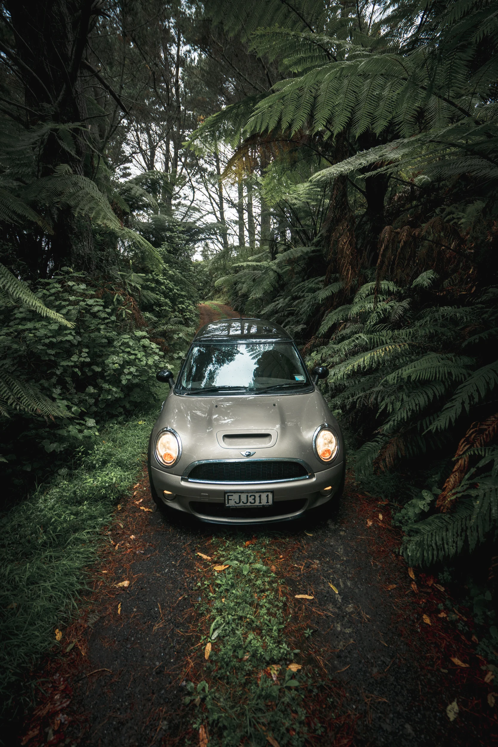 Waihi-mini-automotive-6.jpg