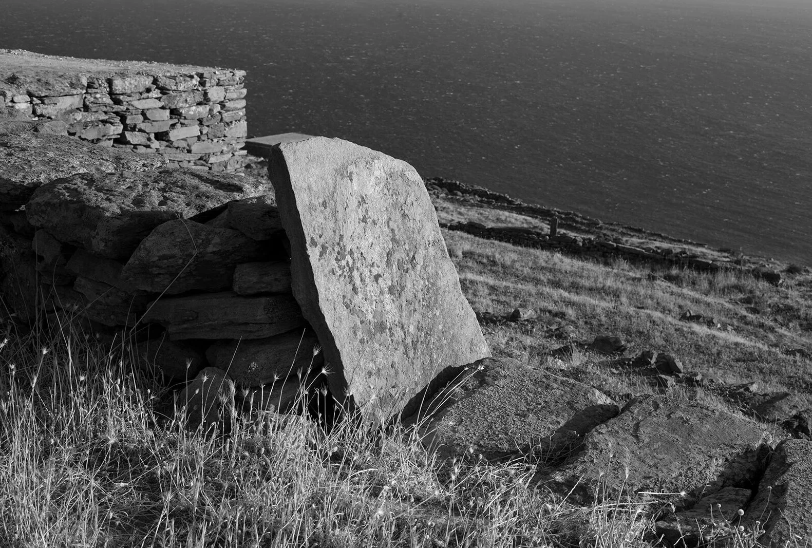 IMG_2288bw.jpg