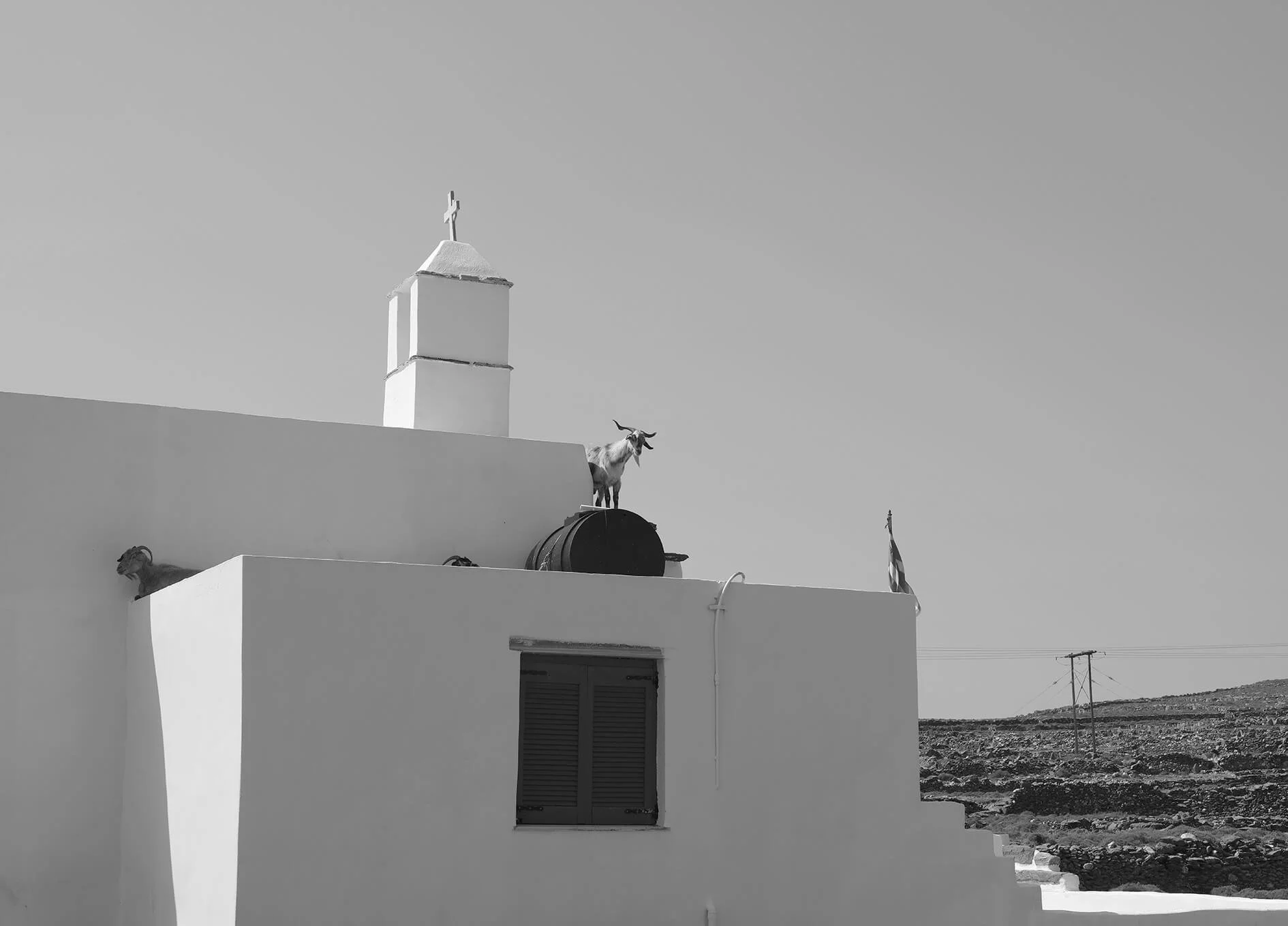 DSCF3050bw.jpg