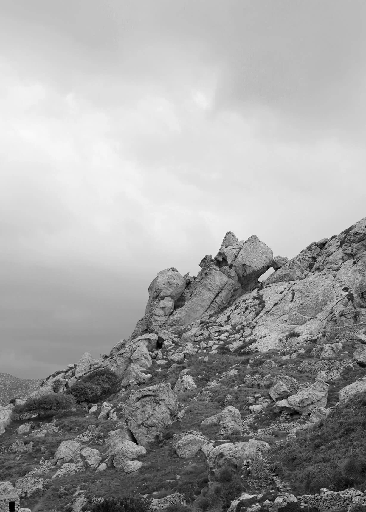 IMG_9951bw2.jpg