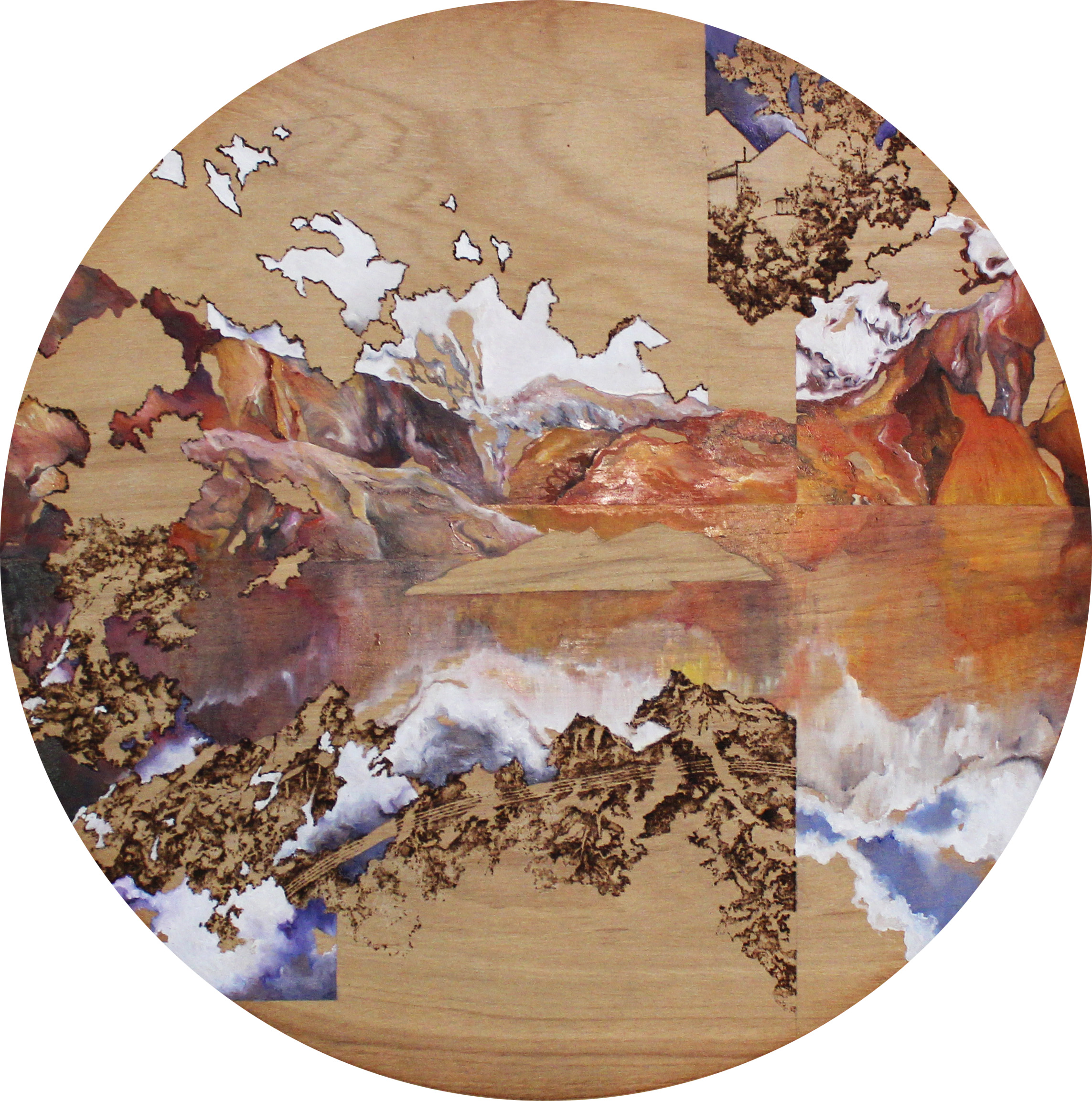Fictitious Reflection, 2016 Oil and Pyrography on Wood.