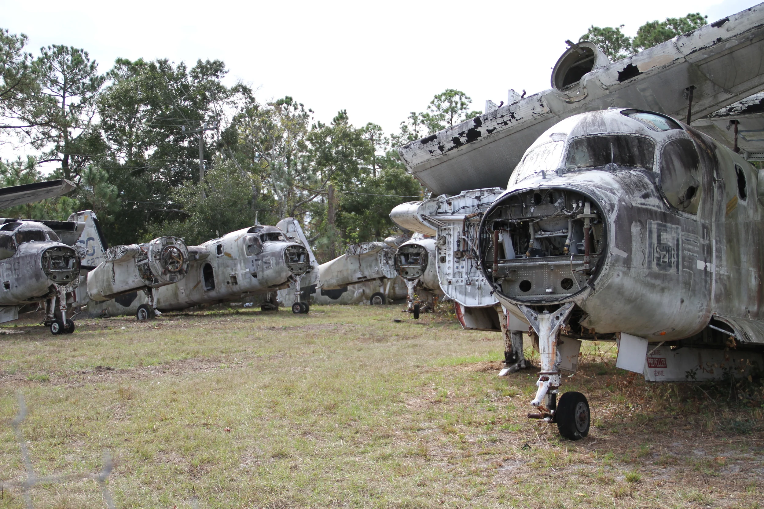 airplanegraveyard.JPG