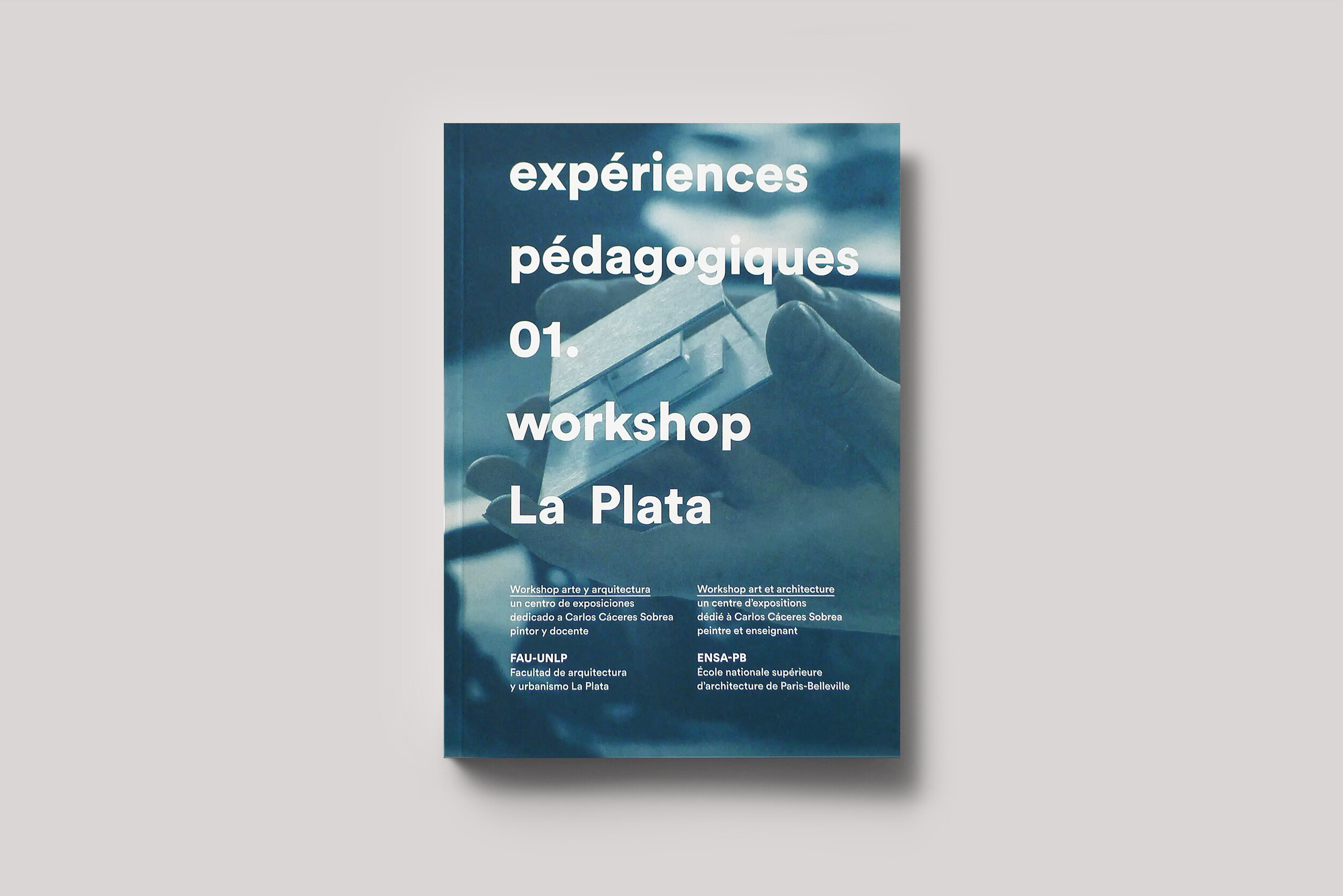 expériences pédagogiques 01. workshop La Plata