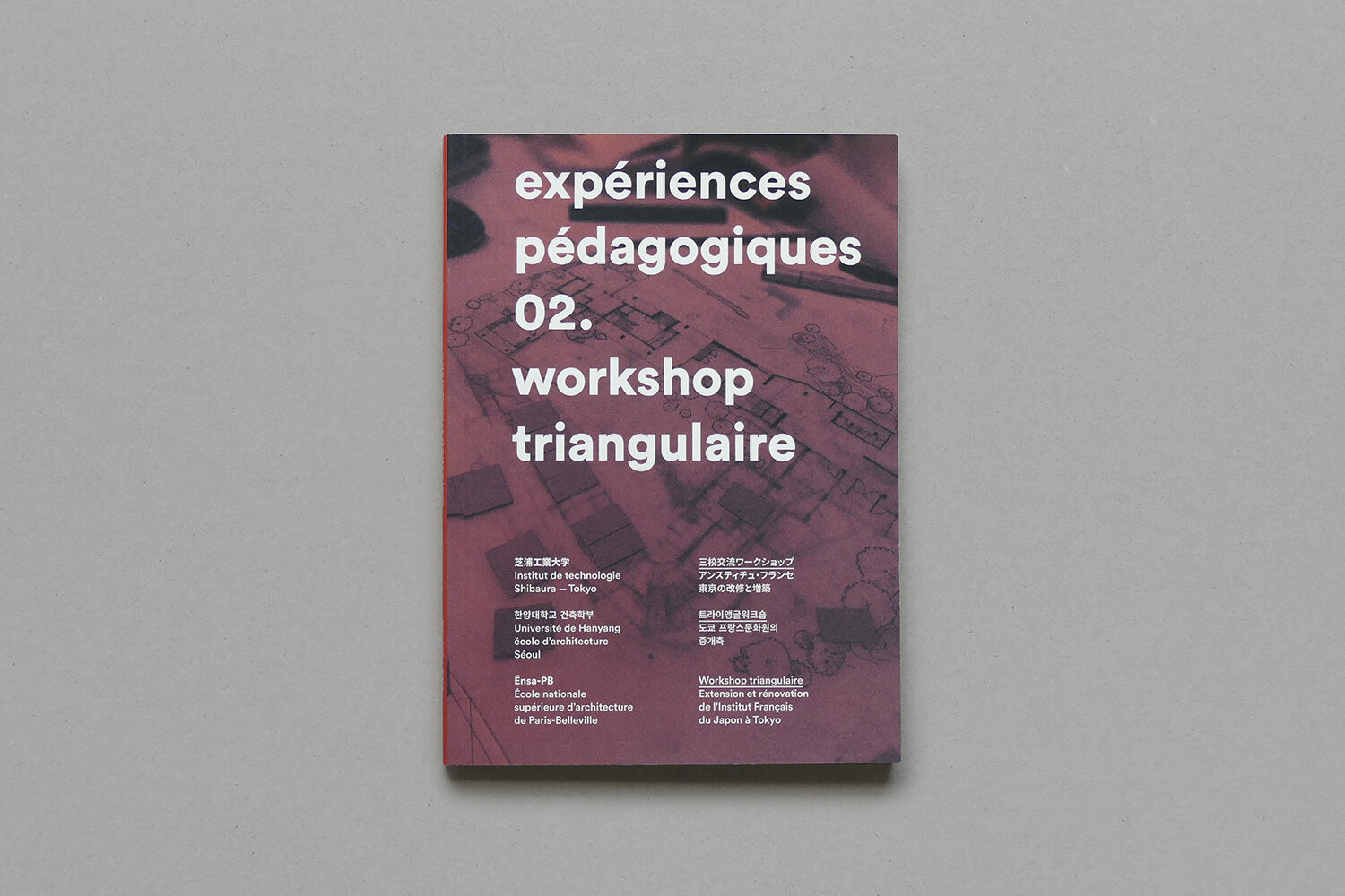 expériences pédagogiques 2. workshop triangulaire