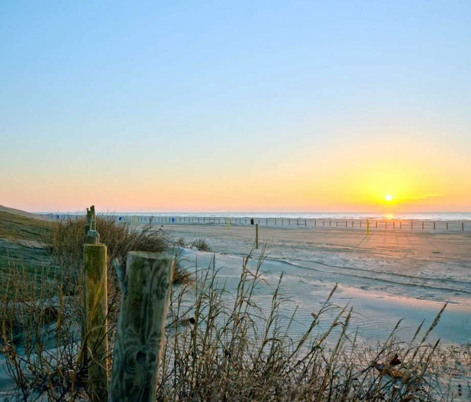 You can't help but feel relaxed when you drive across the causeway to Galveston Island. With more than 6 million visitors a year, it's a small place, yet bustling with things to do, places to see, food to try and ways to unwind. WHAT TO DO Eco-Art Kayak Adventure: During this scenic kayak tour, a guide takes participants through coastal marshes. The Artist Boat staff provides kayaks, More