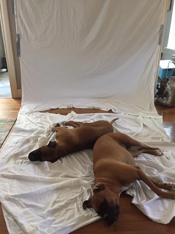 Among my many projects is a children's book based on the crazy life of my rescue boxers, Ava and Prince. Call myself trying to be professional with a bootleg studio in my living room for some shots of my crew. All they want to do is sleep on the damn sheets. You have to laugh. JOY LESSON: Laugh as often as possible.