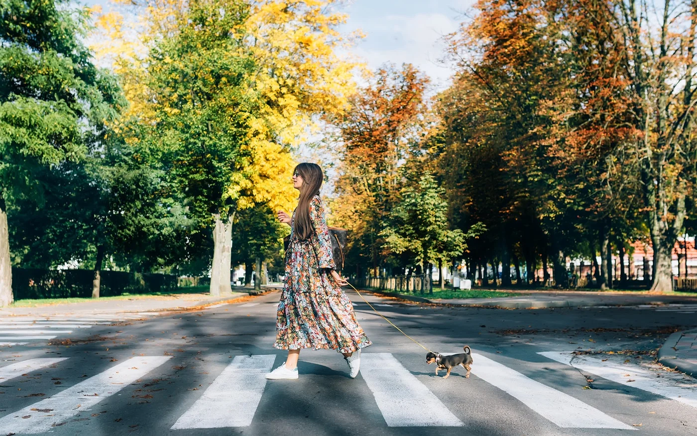 walk.jpg