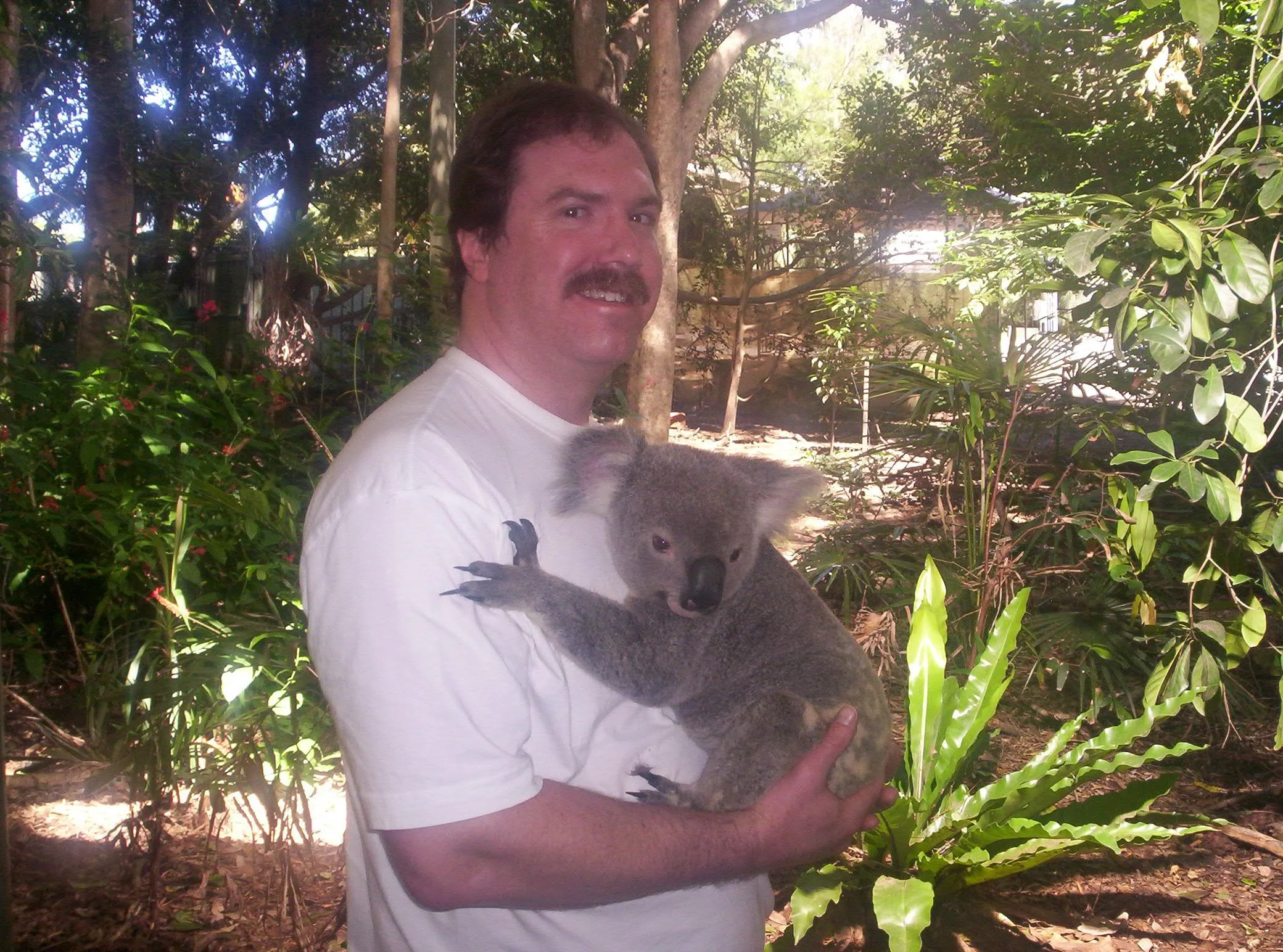 Brisbane 1 076.jpg