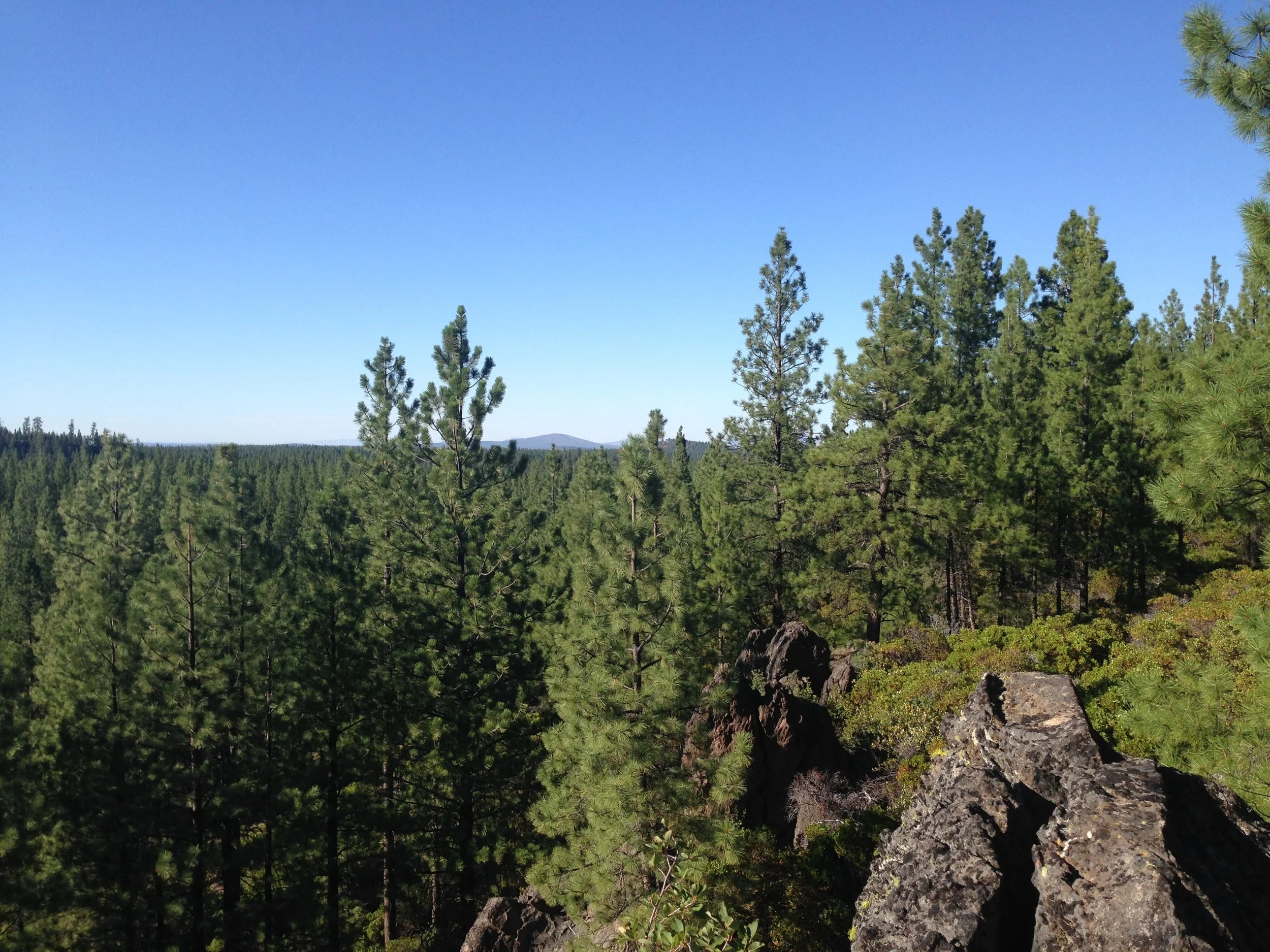 Oregon wilderness