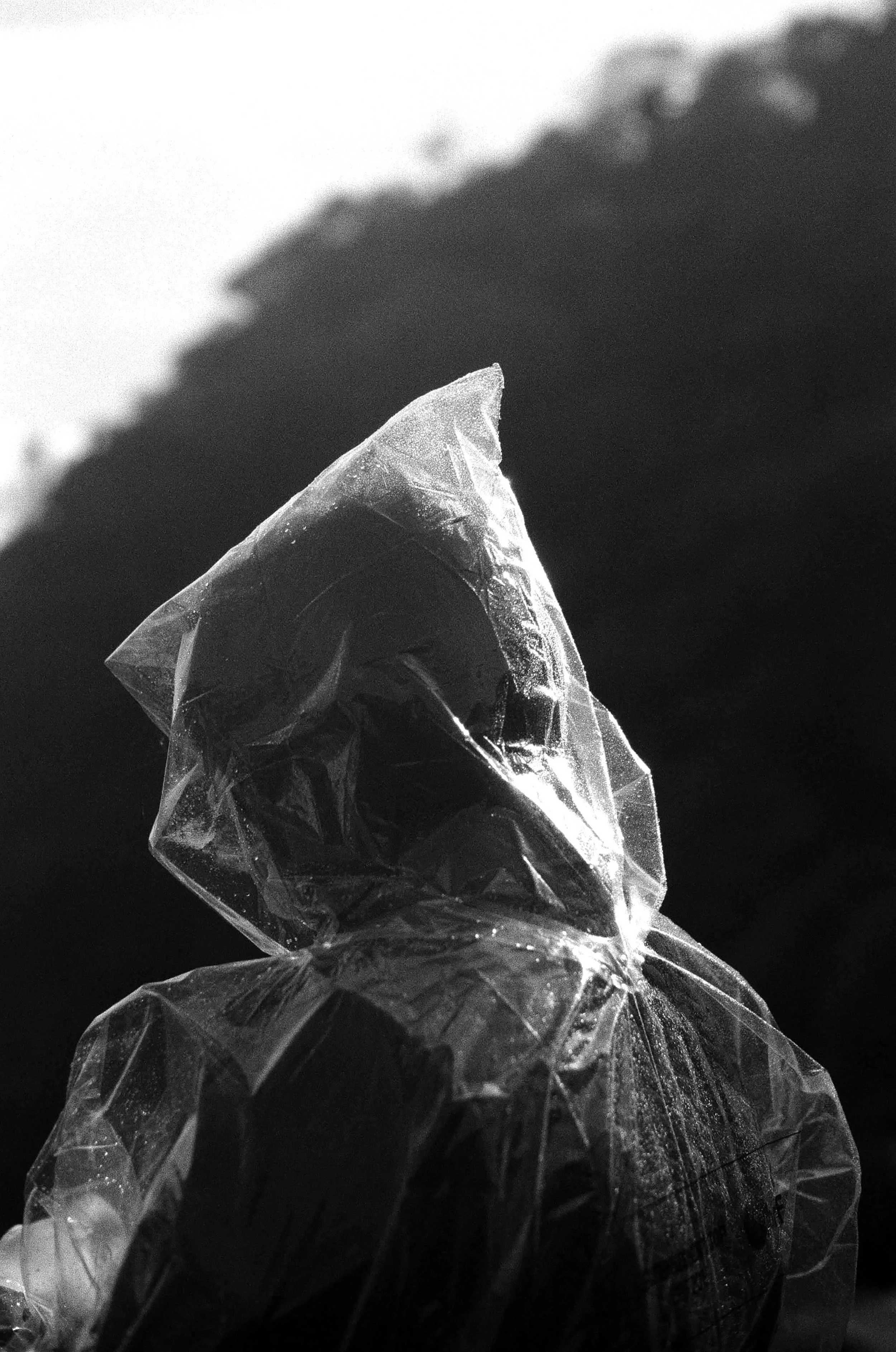 59820004_1.jpg