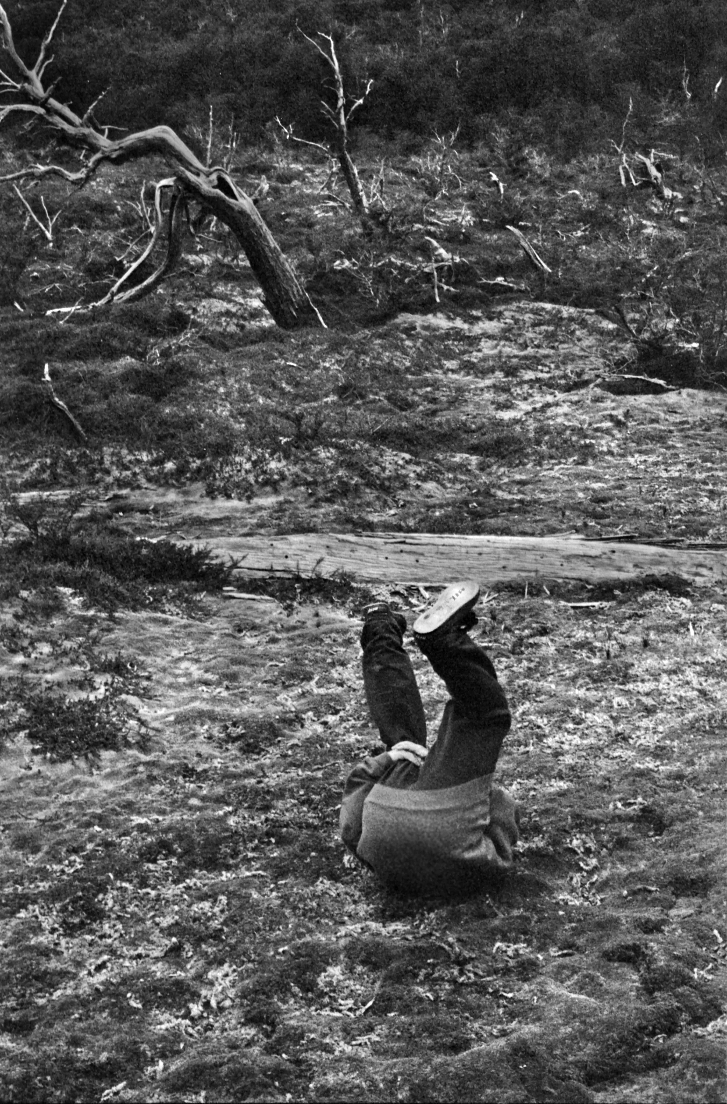 iara0008 copy.jpg
