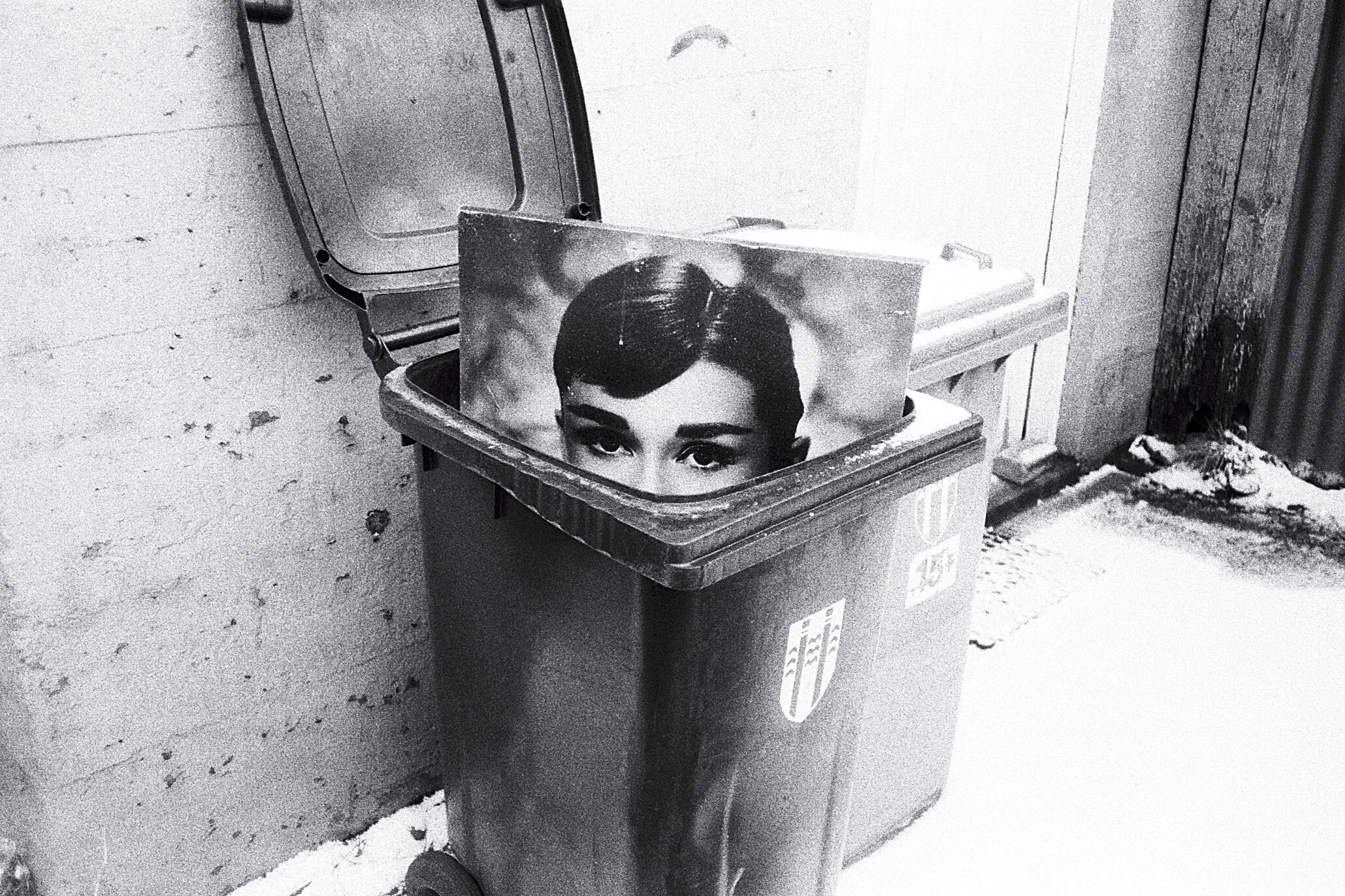 Audrey Hepburn.jpg