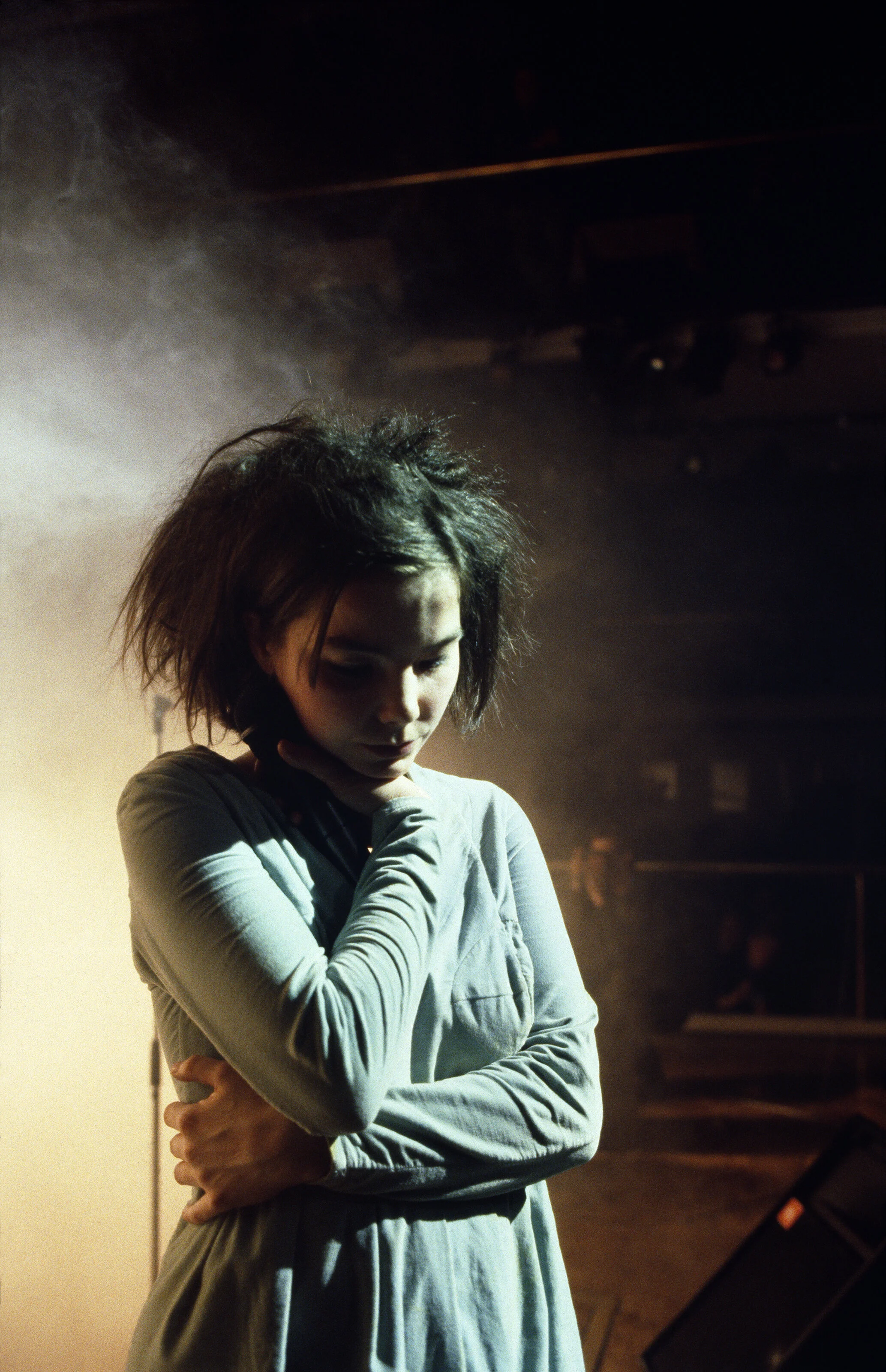 björk lit.jpg