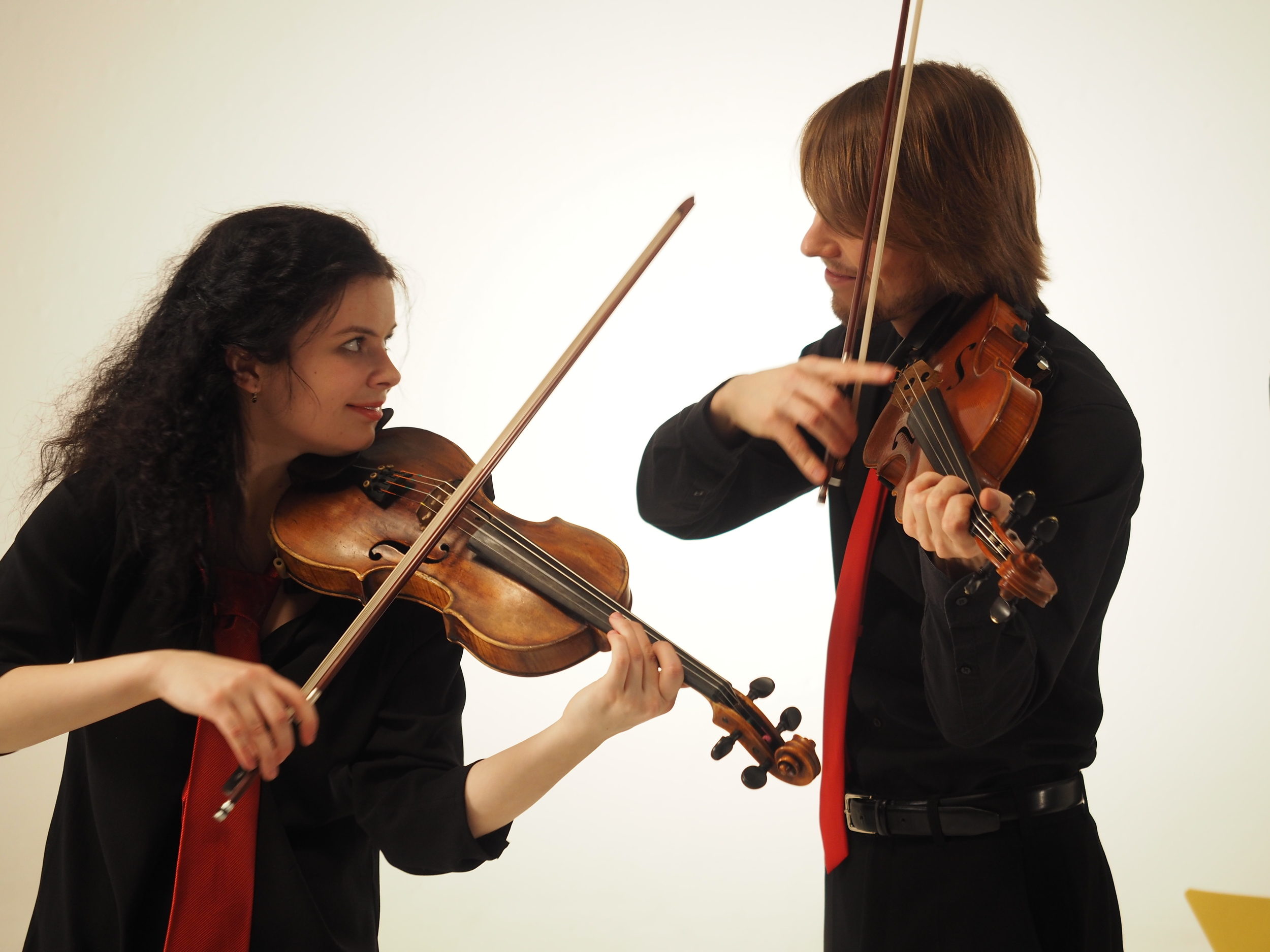 Classical Indie String Quartet backporchconservatory Back Porch Conservatory