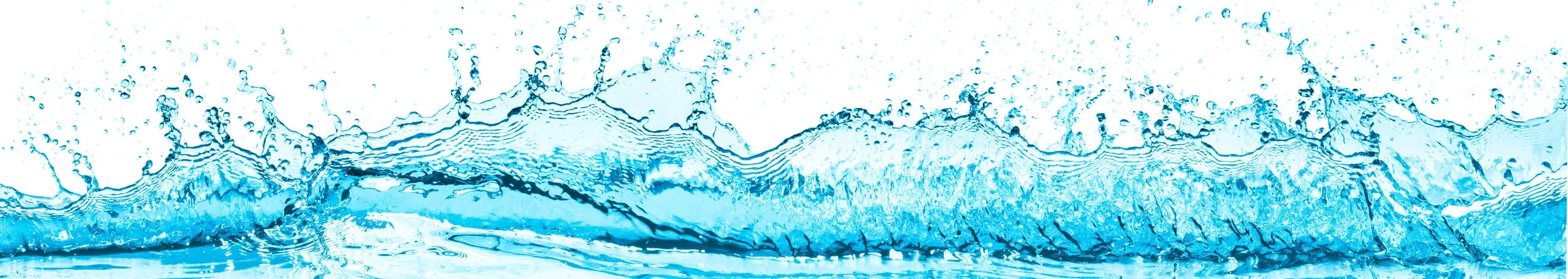mobileswimschoolsplash.jpeg